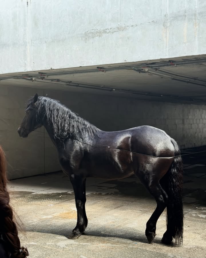 ปริม - กรวรรณ หลอดสันเทียะ