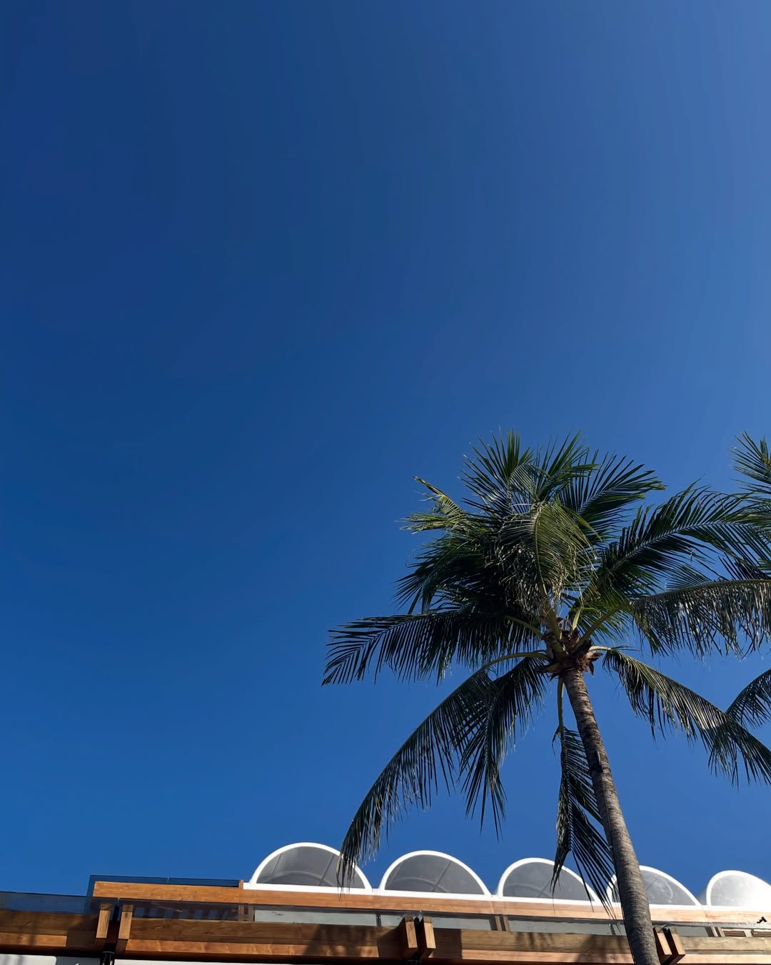 ปริม - กรวรรณ หลอดสันเทียะ