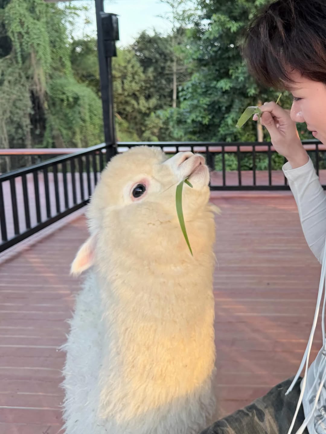 ปลั๊กกี้ - ธรากร คำสิงห์