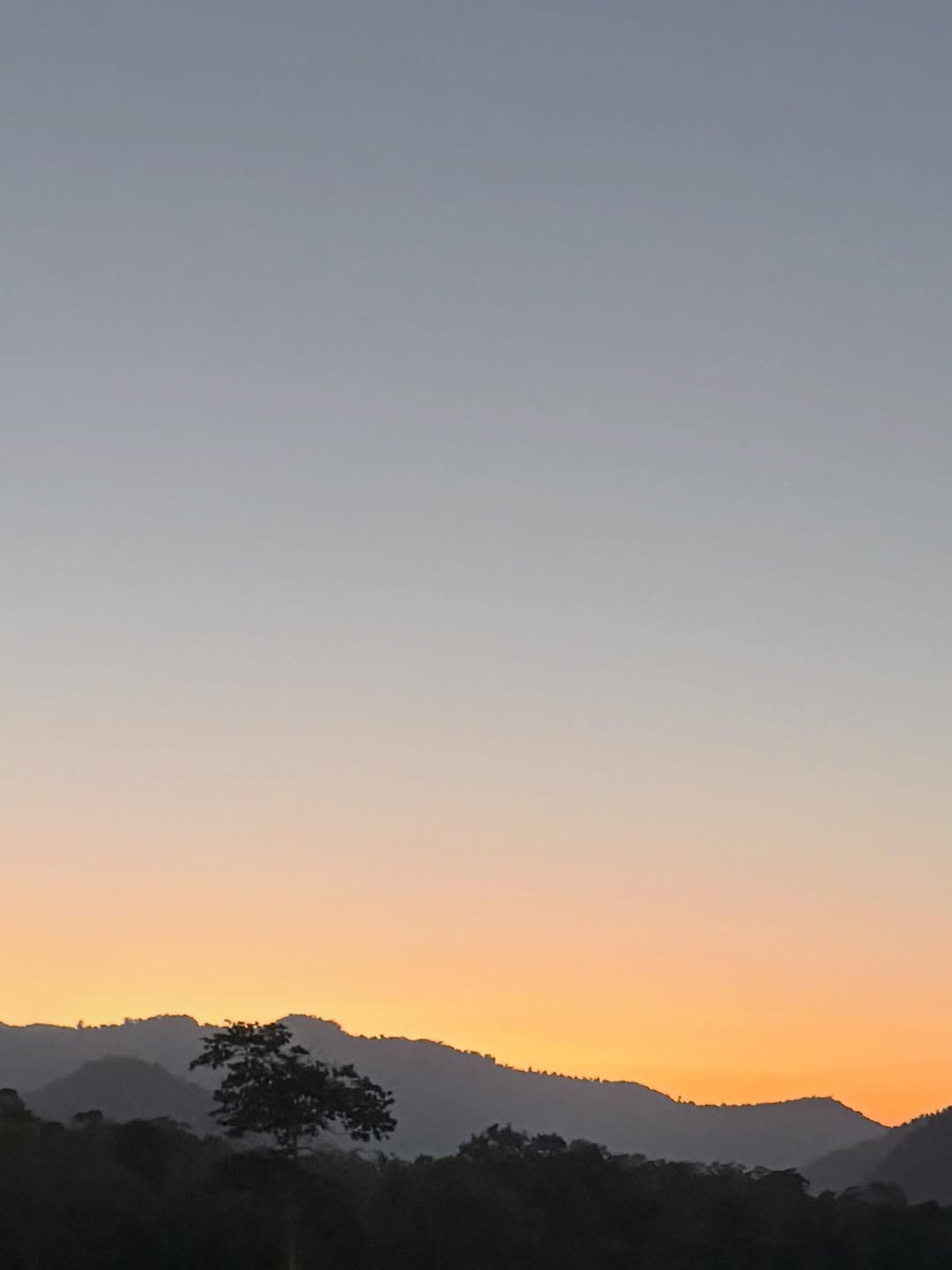 ปลั๊กกี้ - ธรากร คำสิงห์