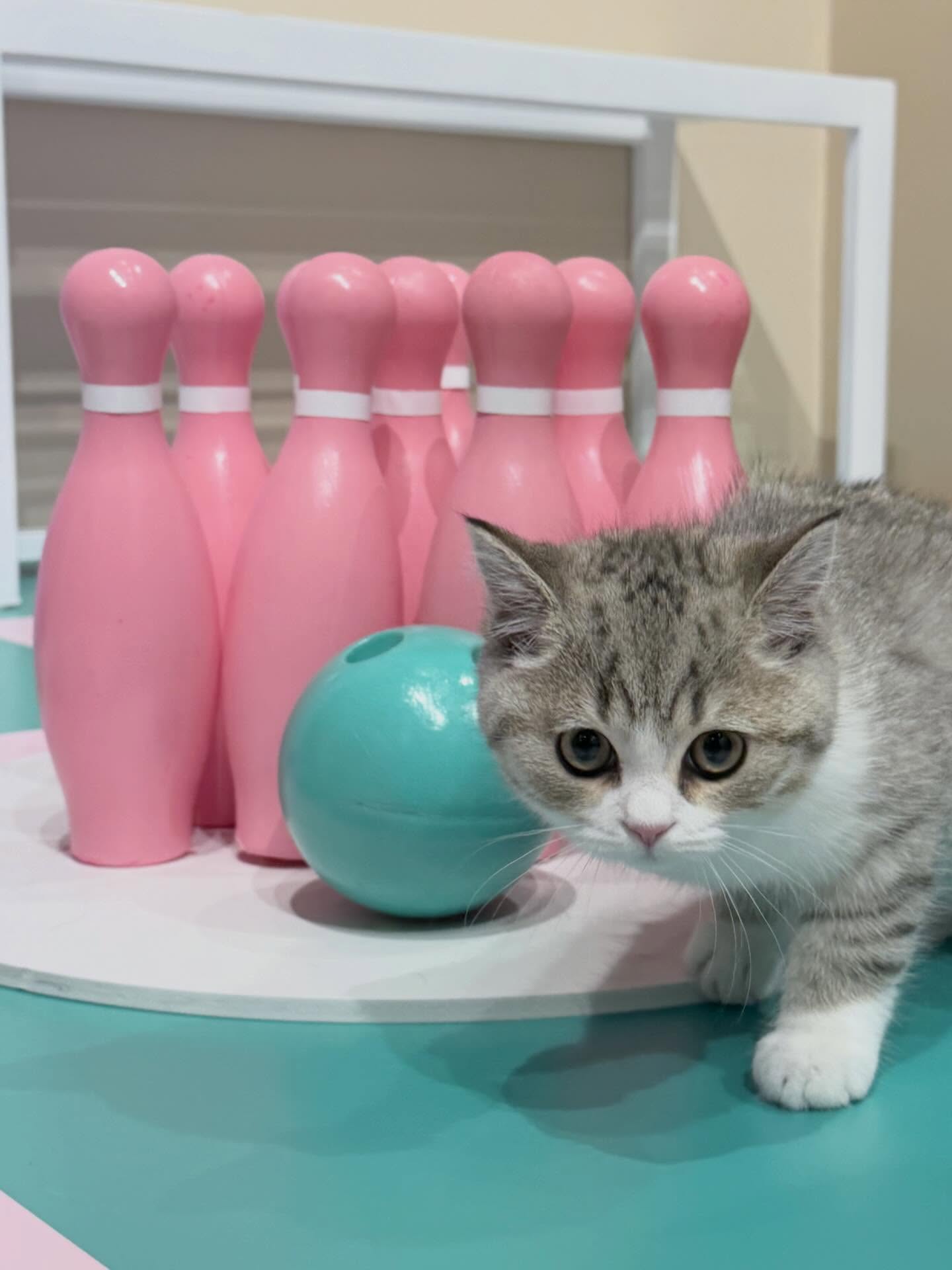 ปลั๊กกี้ - ธรากร คำสิงห์