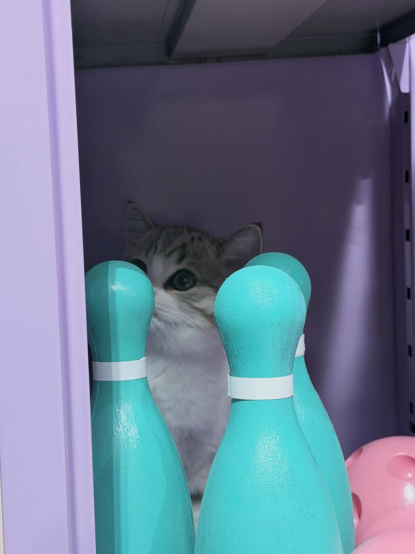 ปลั๊กกี้ - ธรากร คำสิงห์