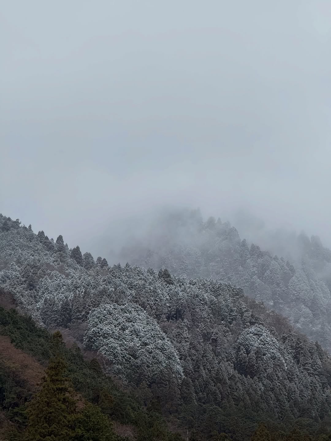 ภูมิ - ภูริพันธ์ ทรัพย์แสงสวัสดิ์