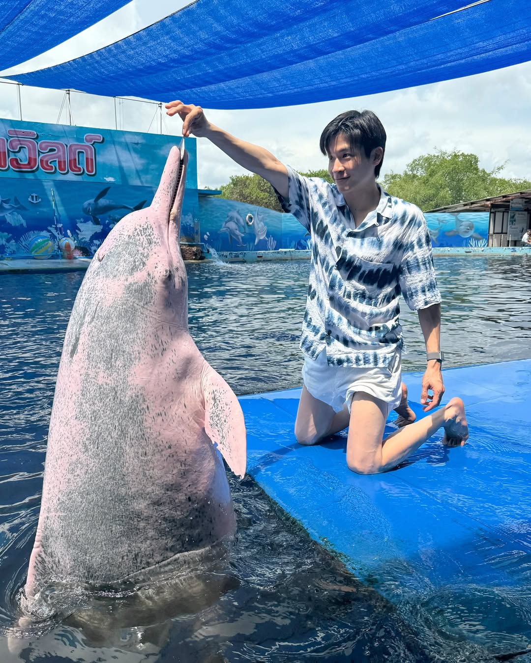 มาร์ช - จุฑาวุฒิ ภัทรกำพล