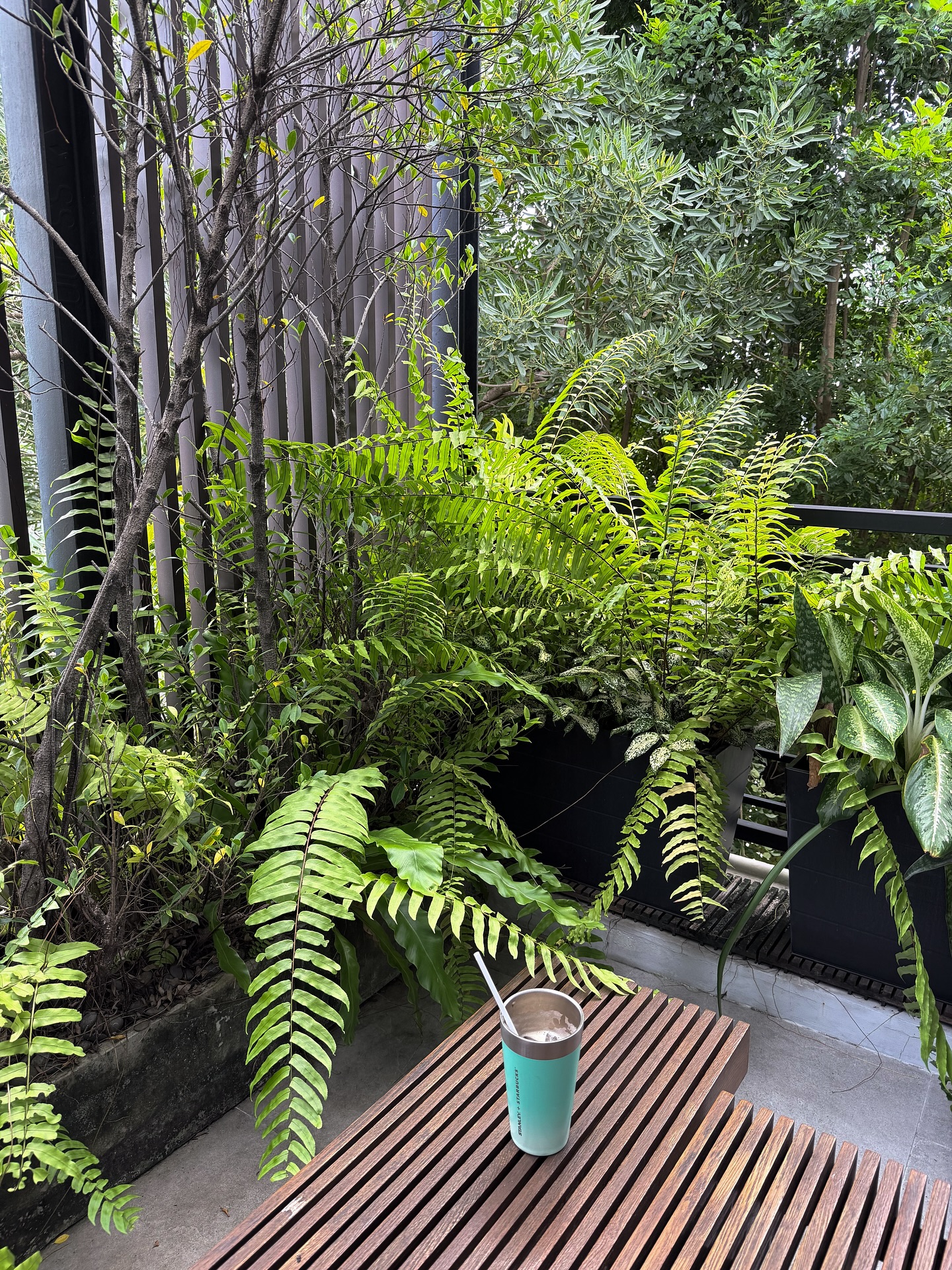 มาร์ช - จุฑาวุฒิ ภัทรกำพล