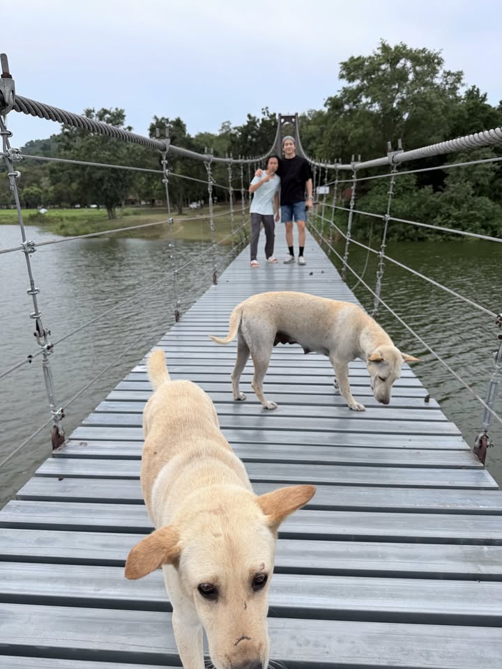 มาร์ช - จุฑาวุฒิ ภัทรกำพล