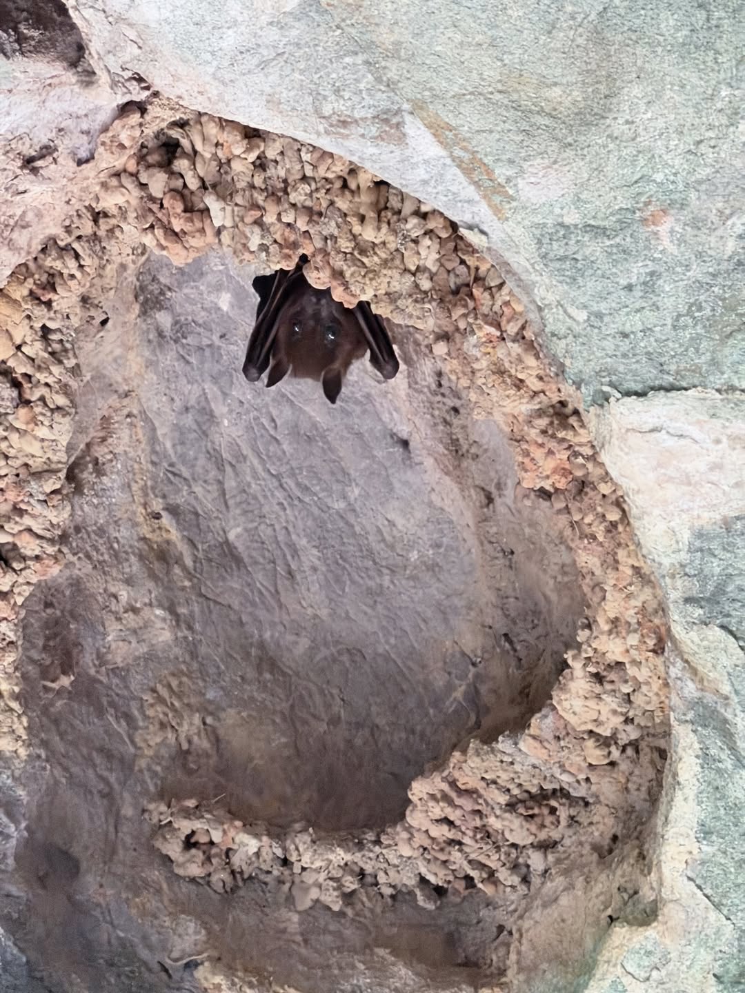 มาร์ช - จุฑาวุฒิ ภัทรกำพล