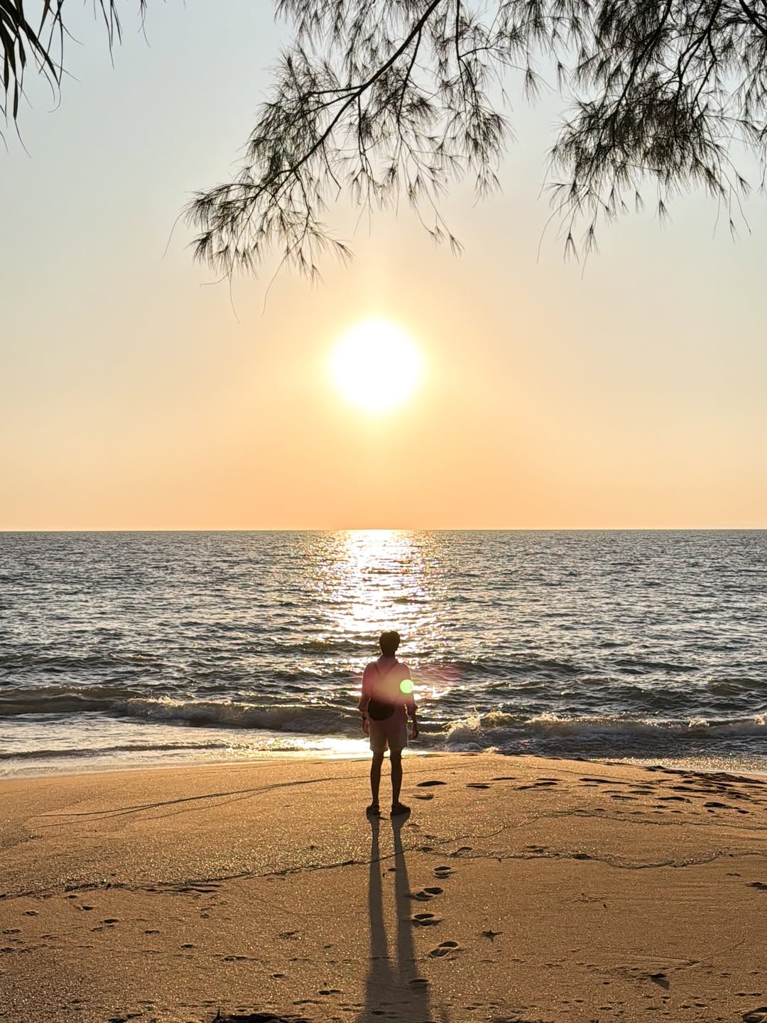 มาร์ช - จุฑาวุฒิ ภัทรกำพล