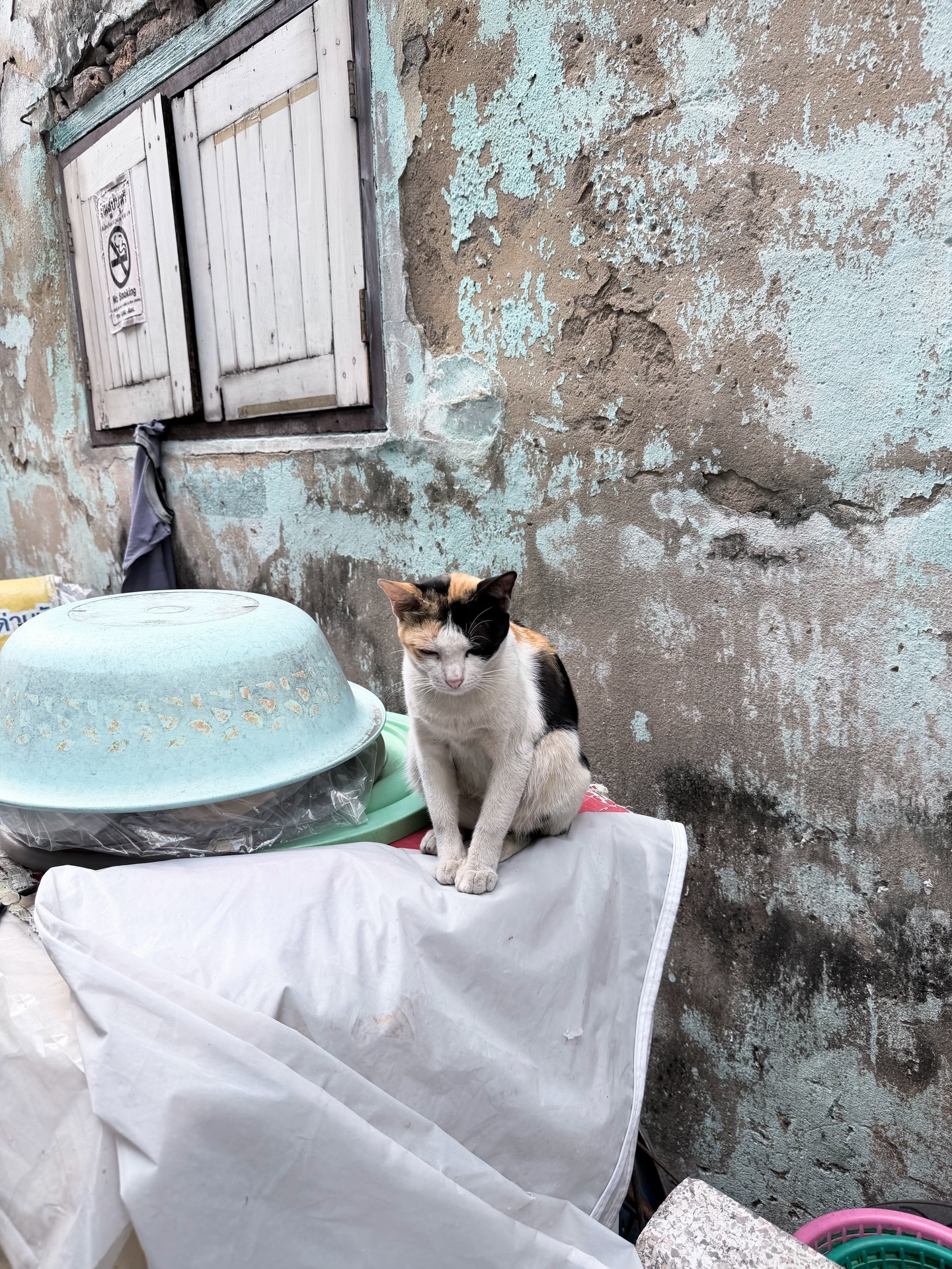 มาร์ช - จุฑาวุฒิ ภัทรกำพล