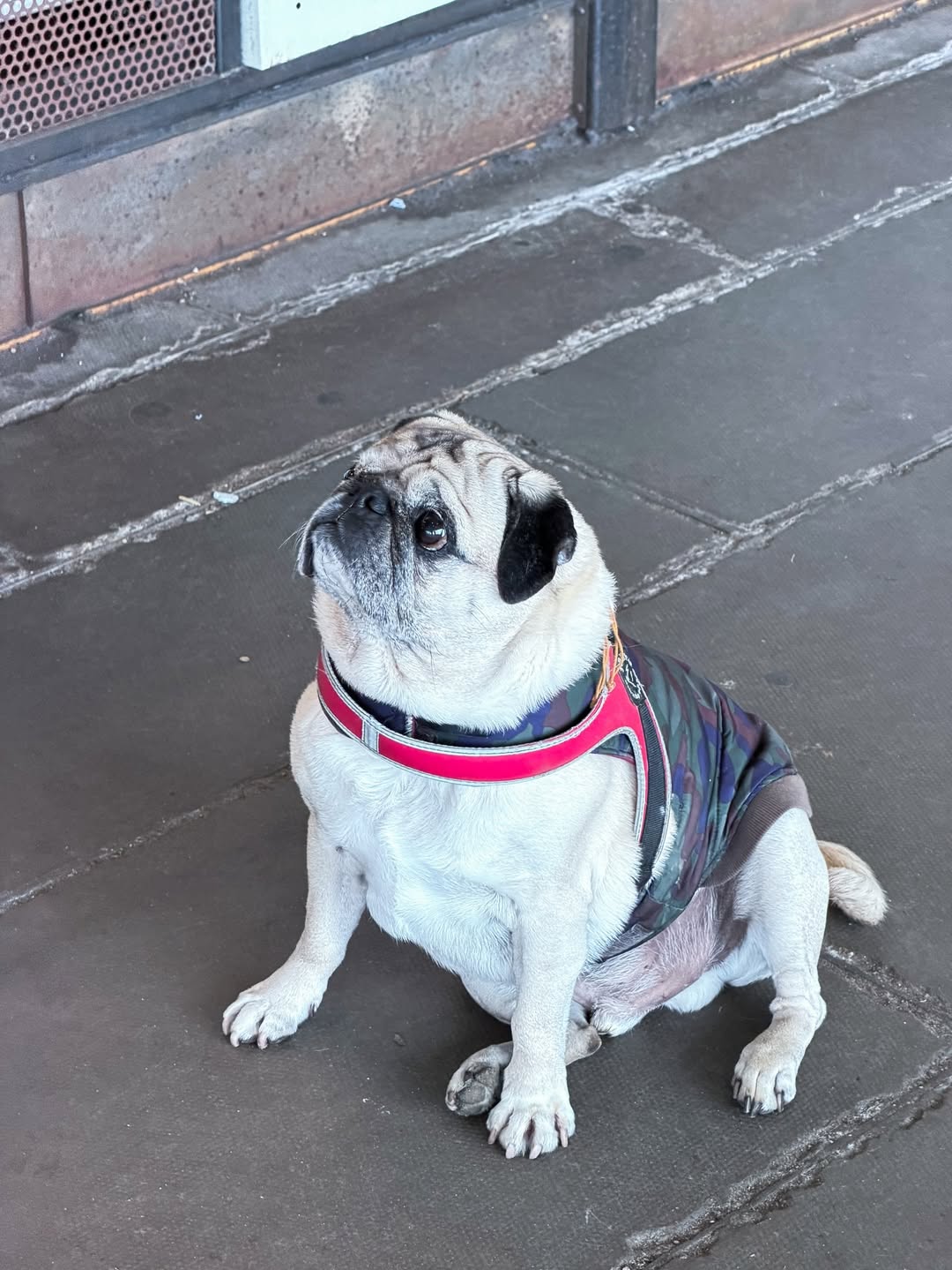 มาร์ช - จุฑาวุฒิ ภัทรกำพล