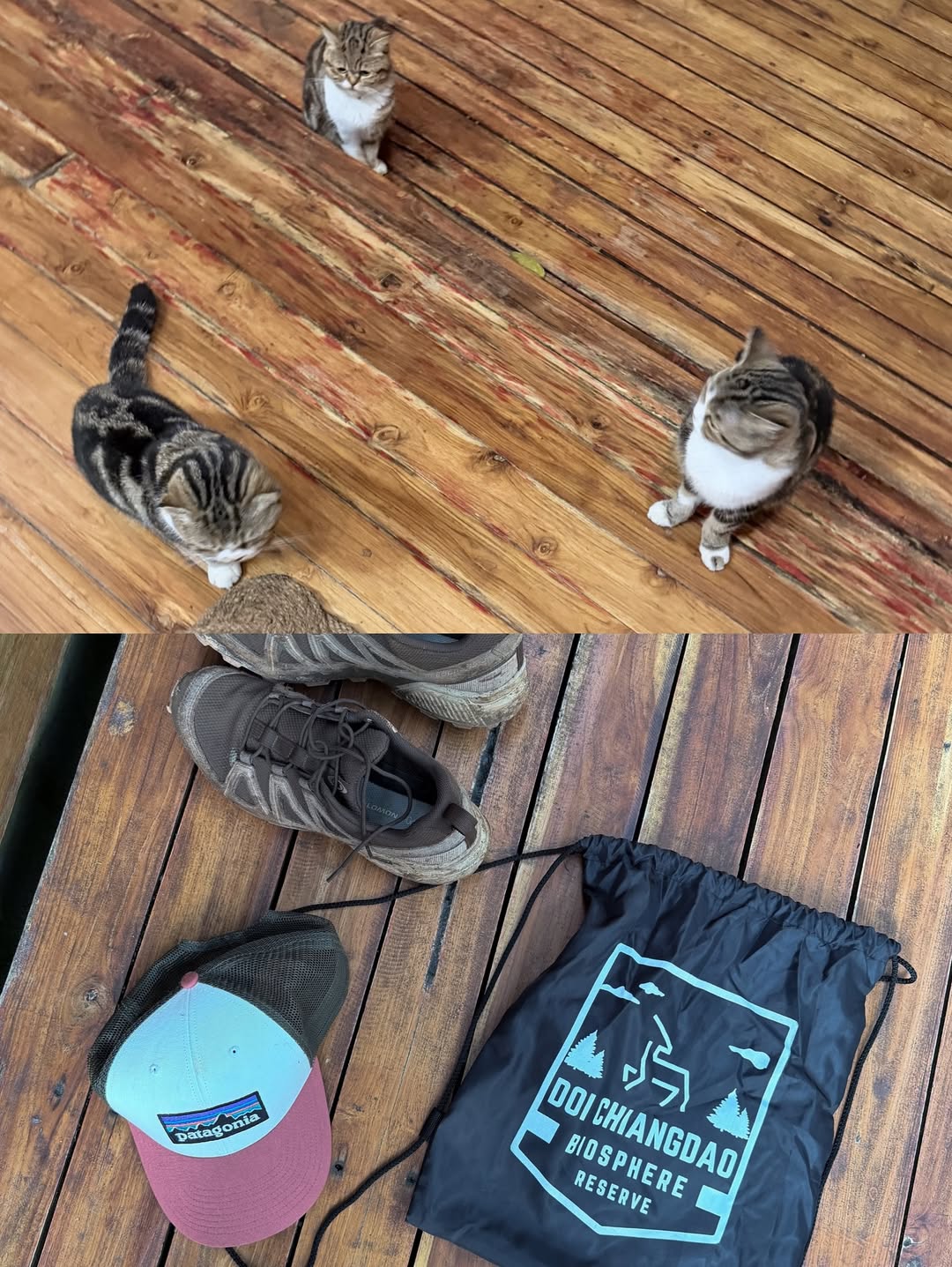 มาร์ช - จุฑาวุฒิ ภัทรกำพล