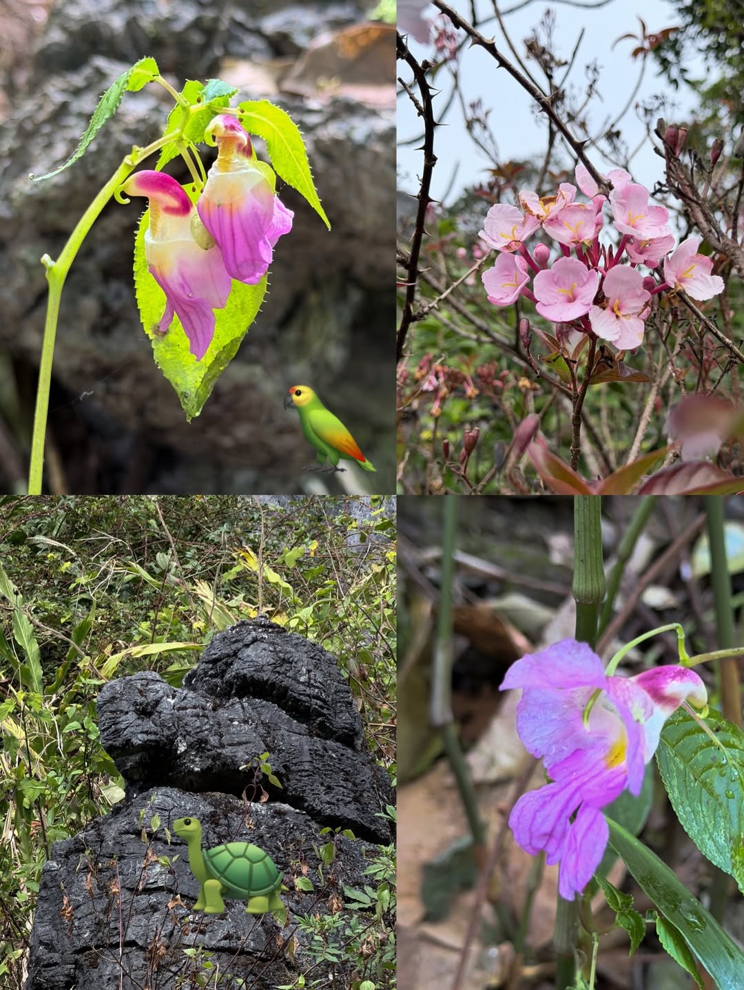 มาร์ช - จุฑาวุฒิ ภัทรกำพล