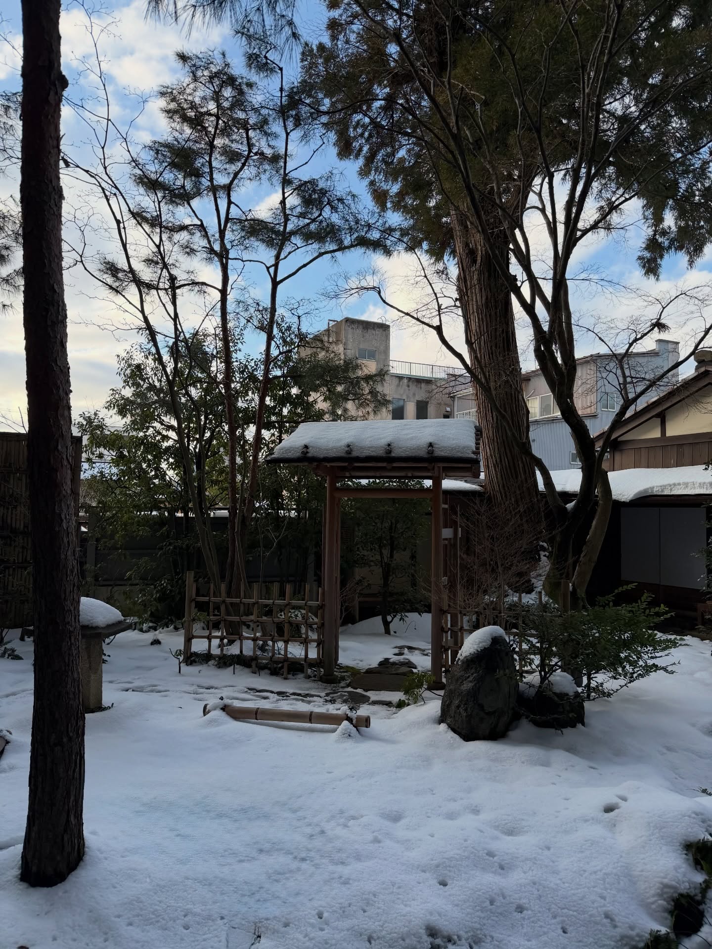 มาร์ช - จุฑาวุฒิ ภัทรกำพล