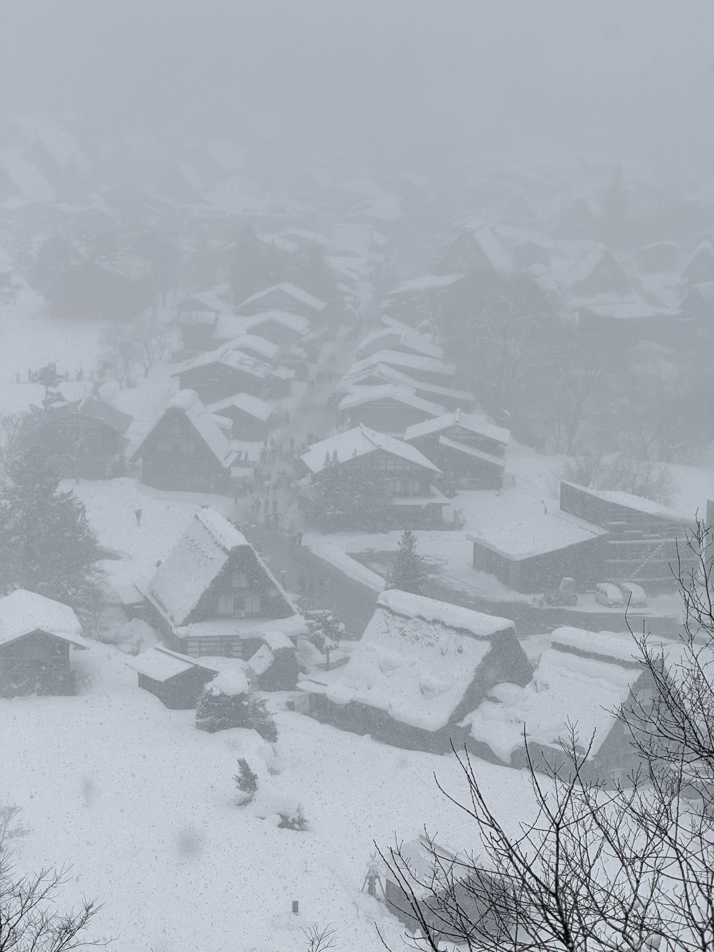 มาร์ช - จุฑาวุฒิ ภัทรกำพล