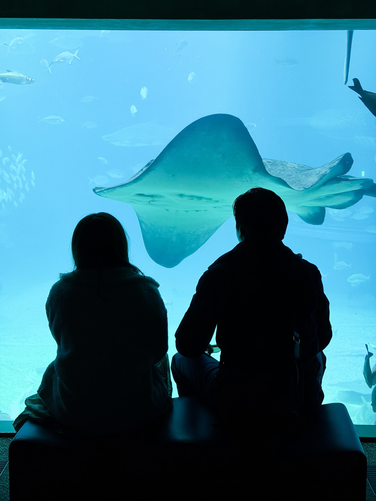 มาร์ช - จุฑาวุฒิ ภัทรกำพล