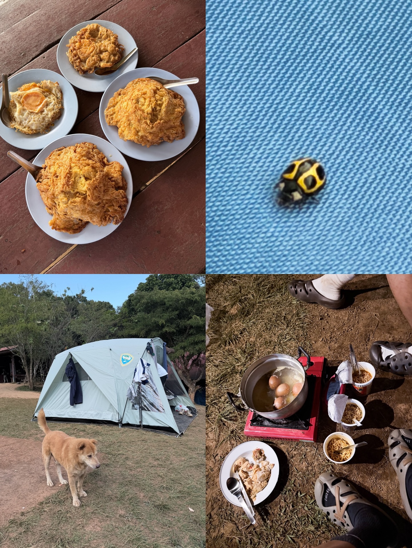 มาร์ช - จุฑาวุฒิ ภัทรกำพล