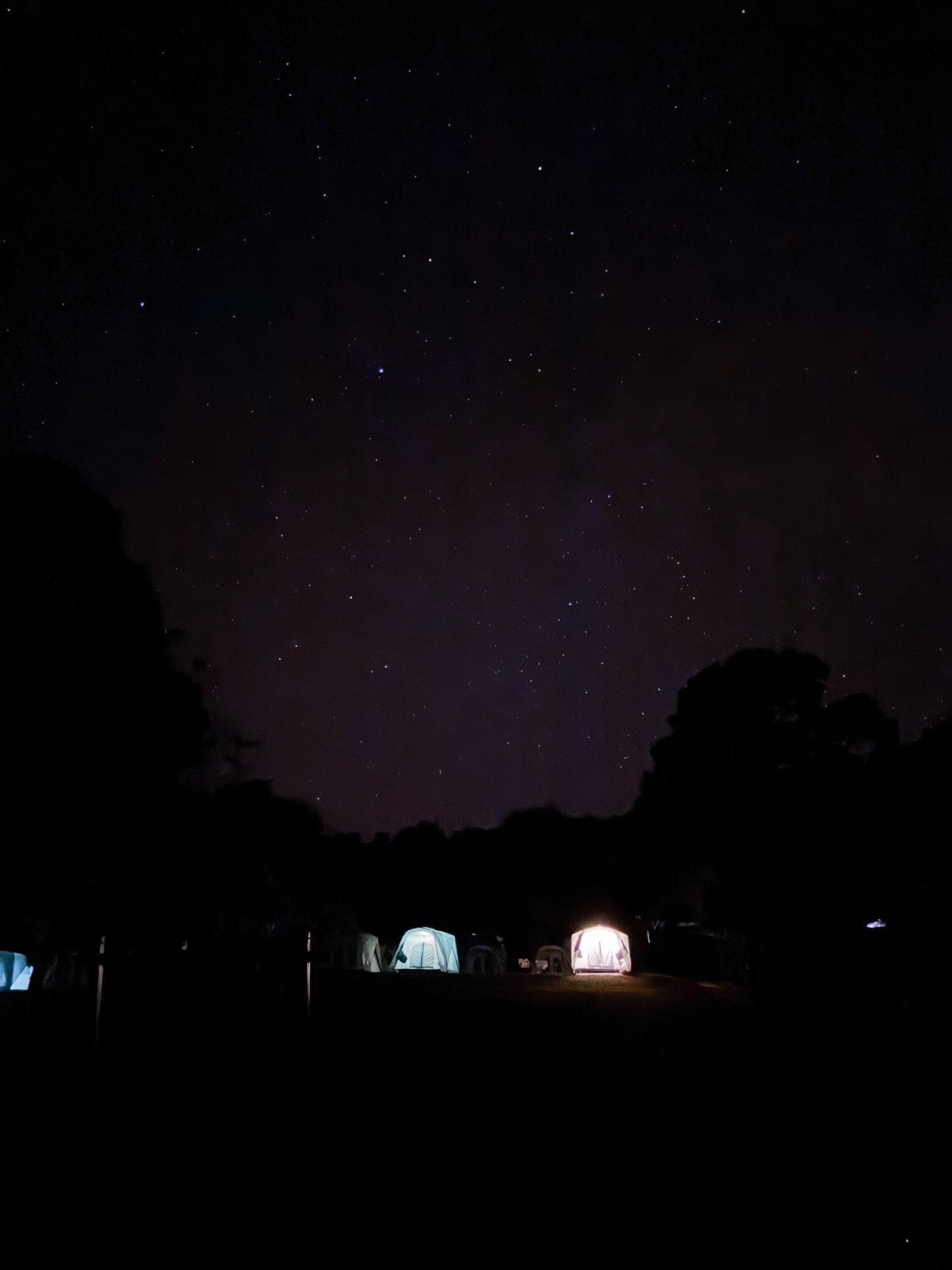 มาร์ช - จุฑาวุฒิ ภัทรกำพล