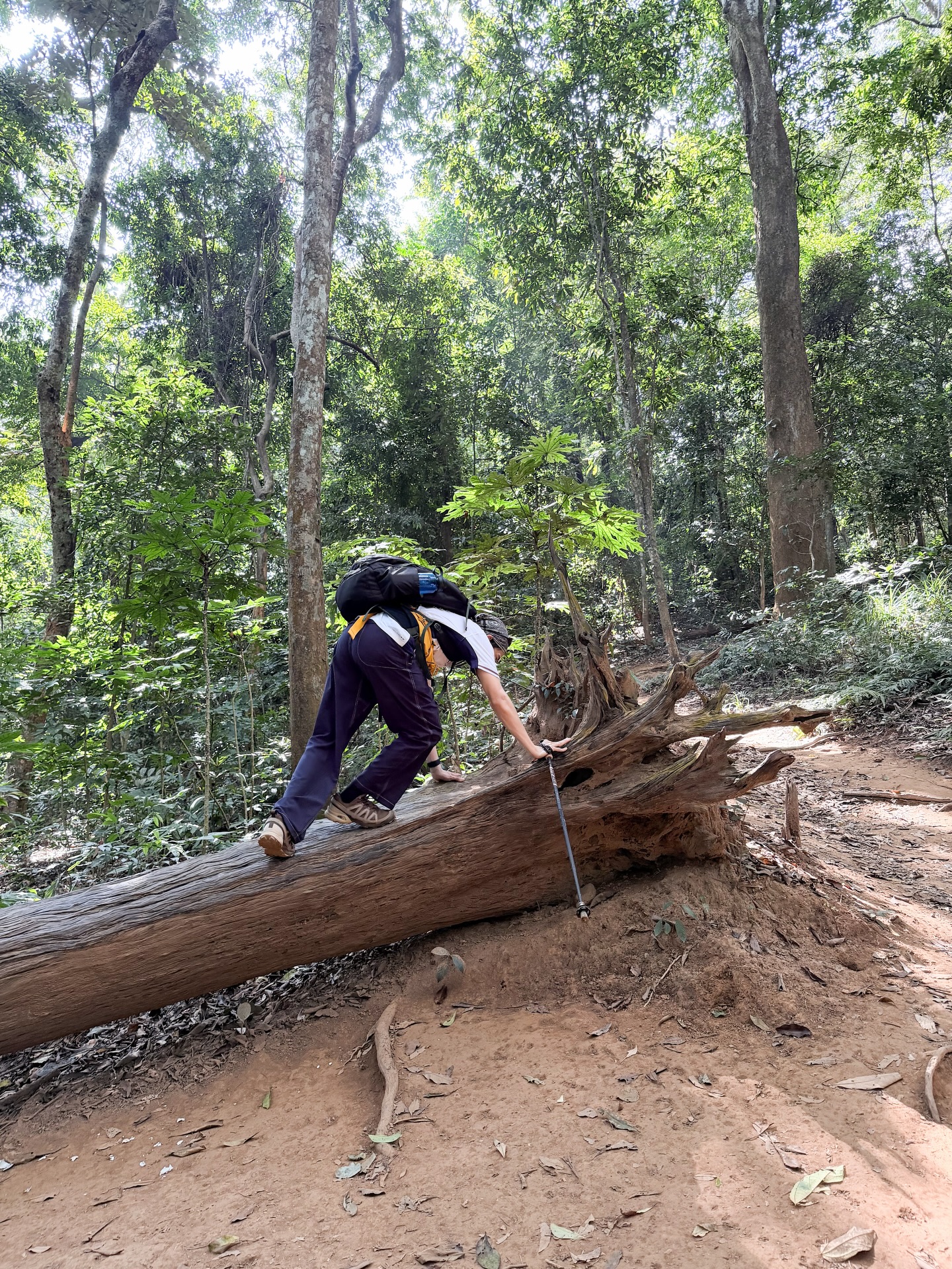 มาร์ช - จุฑาวุฒิ ภัทรกำพล