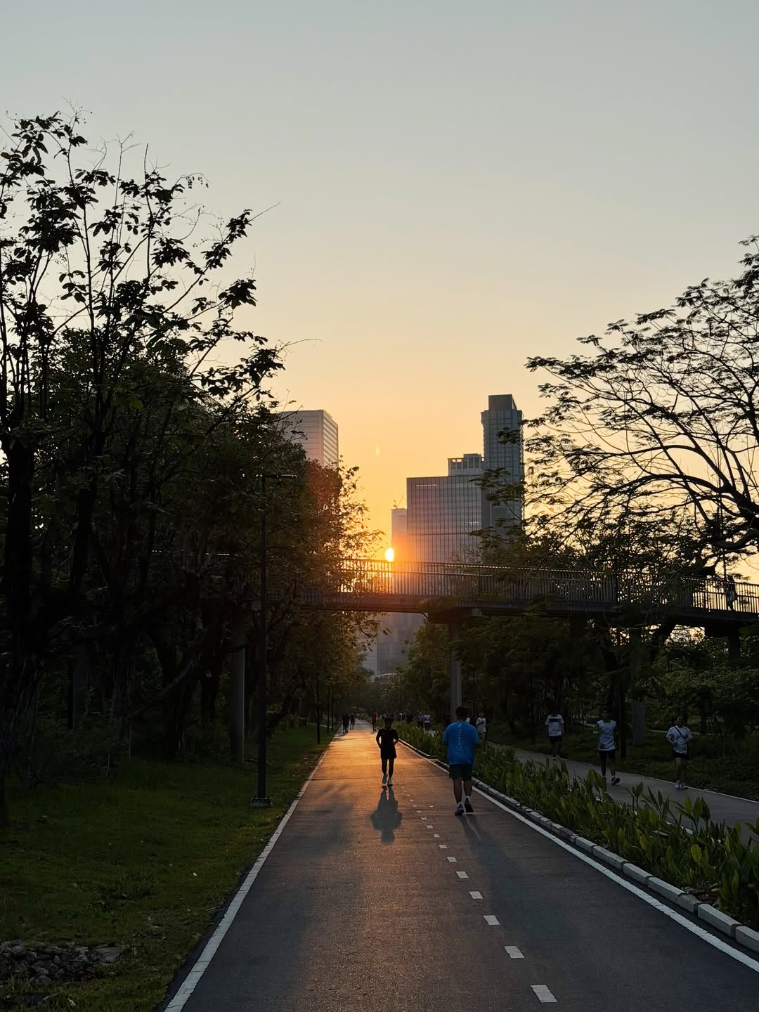 มาร์ช - จุฑาวุฒิ ภัทรกำพล