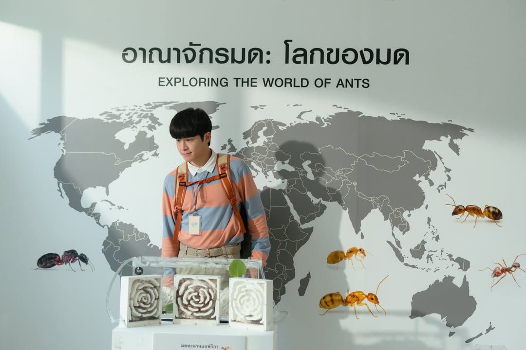 มาร์ช - จุฑาวุฒิ ภัทรกำพล