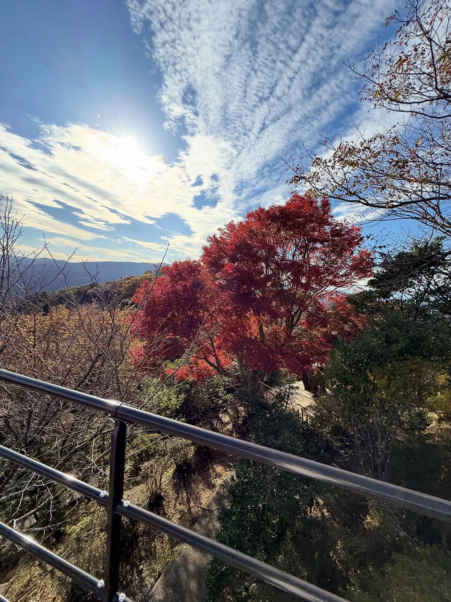 ตั้ม - วราวุธ โพธิ์ยิ้ม