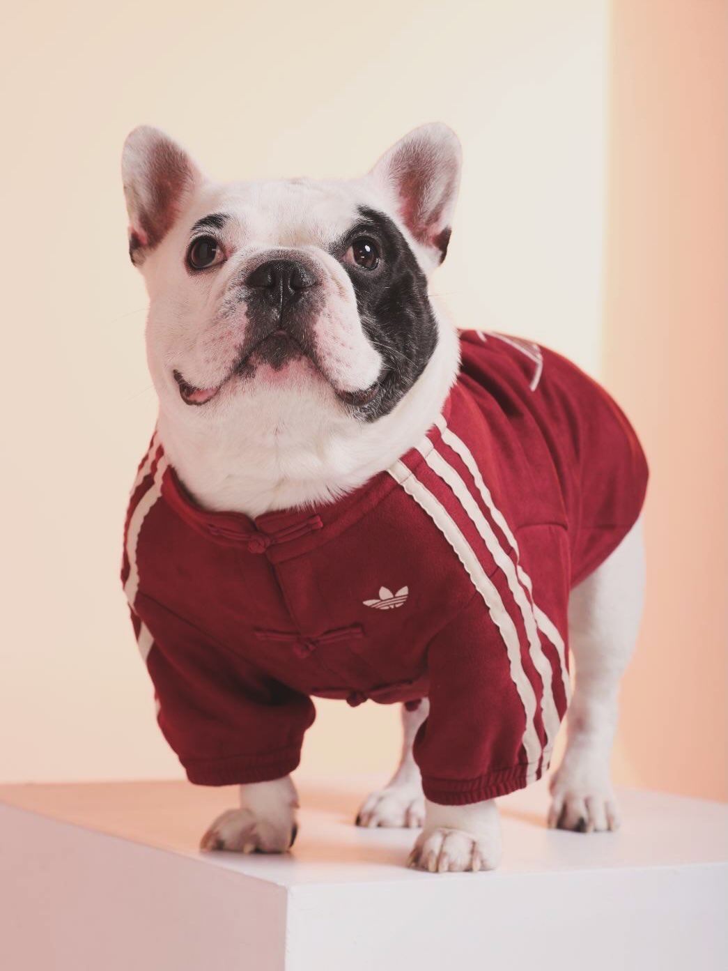 ตั้ม - วราวุธ โพธิ์ยิ้ม