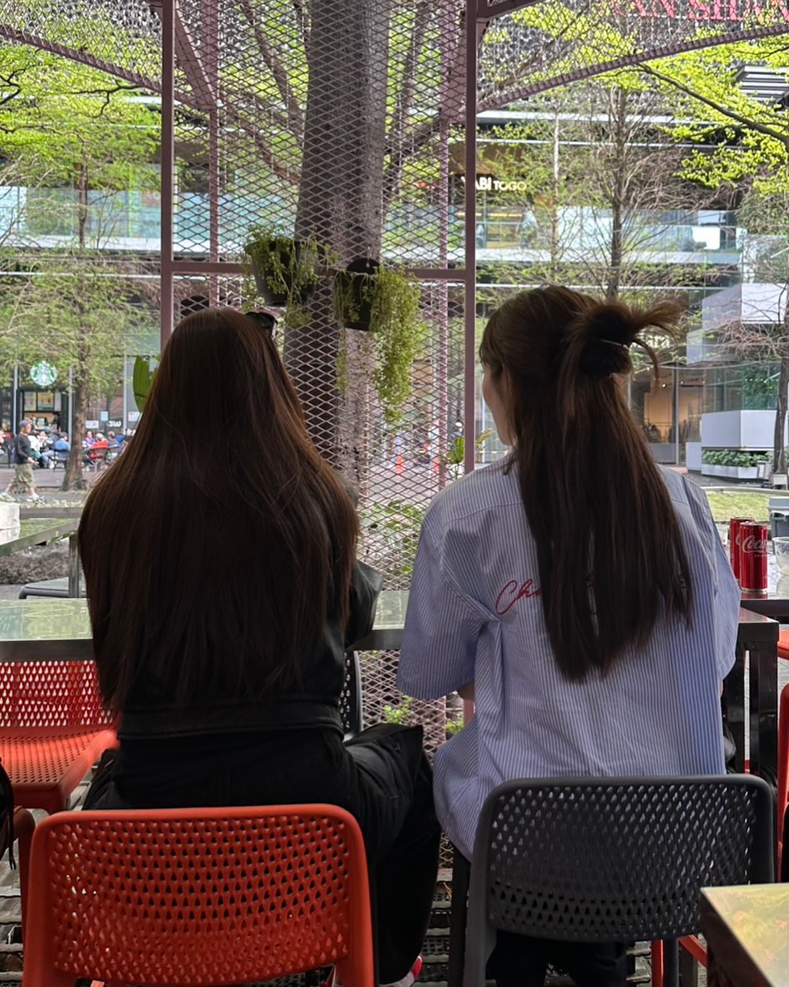 ชาล็อต ออสติน