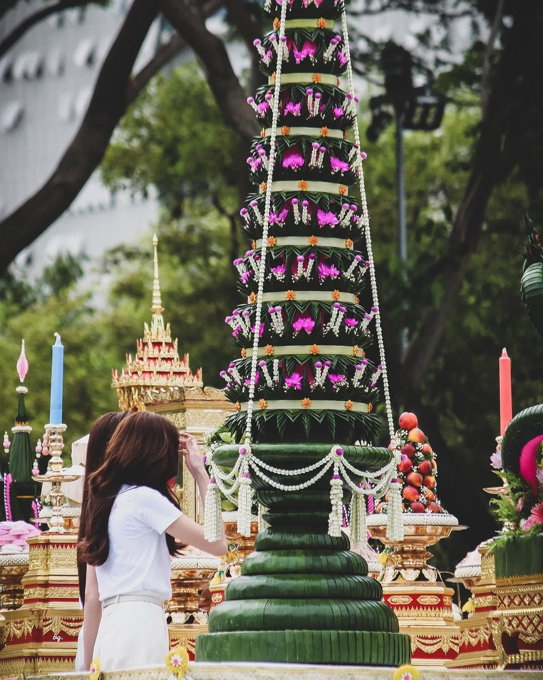 ชาล็อต ออสติน