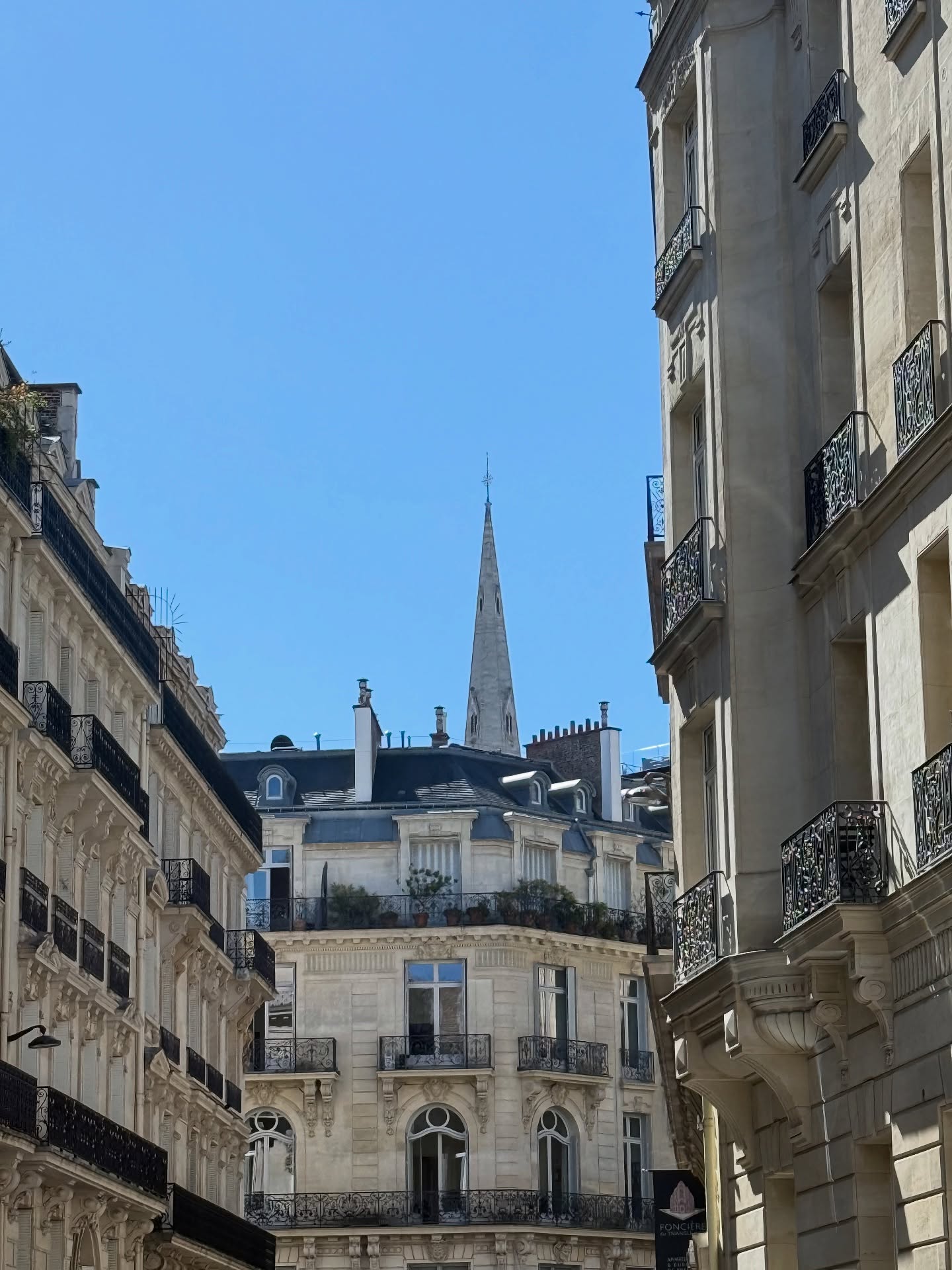 ชาล็อต ออสติน