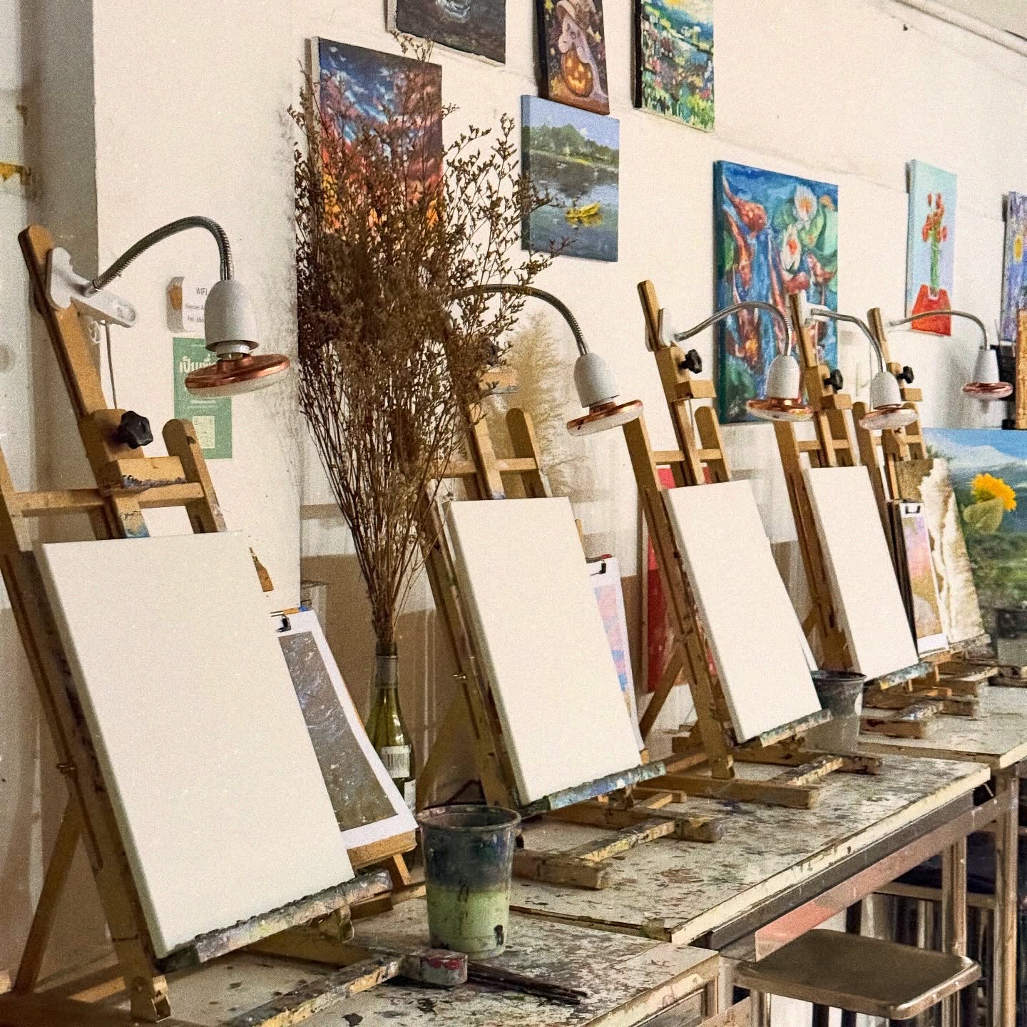 ชาล็อต ออสติน