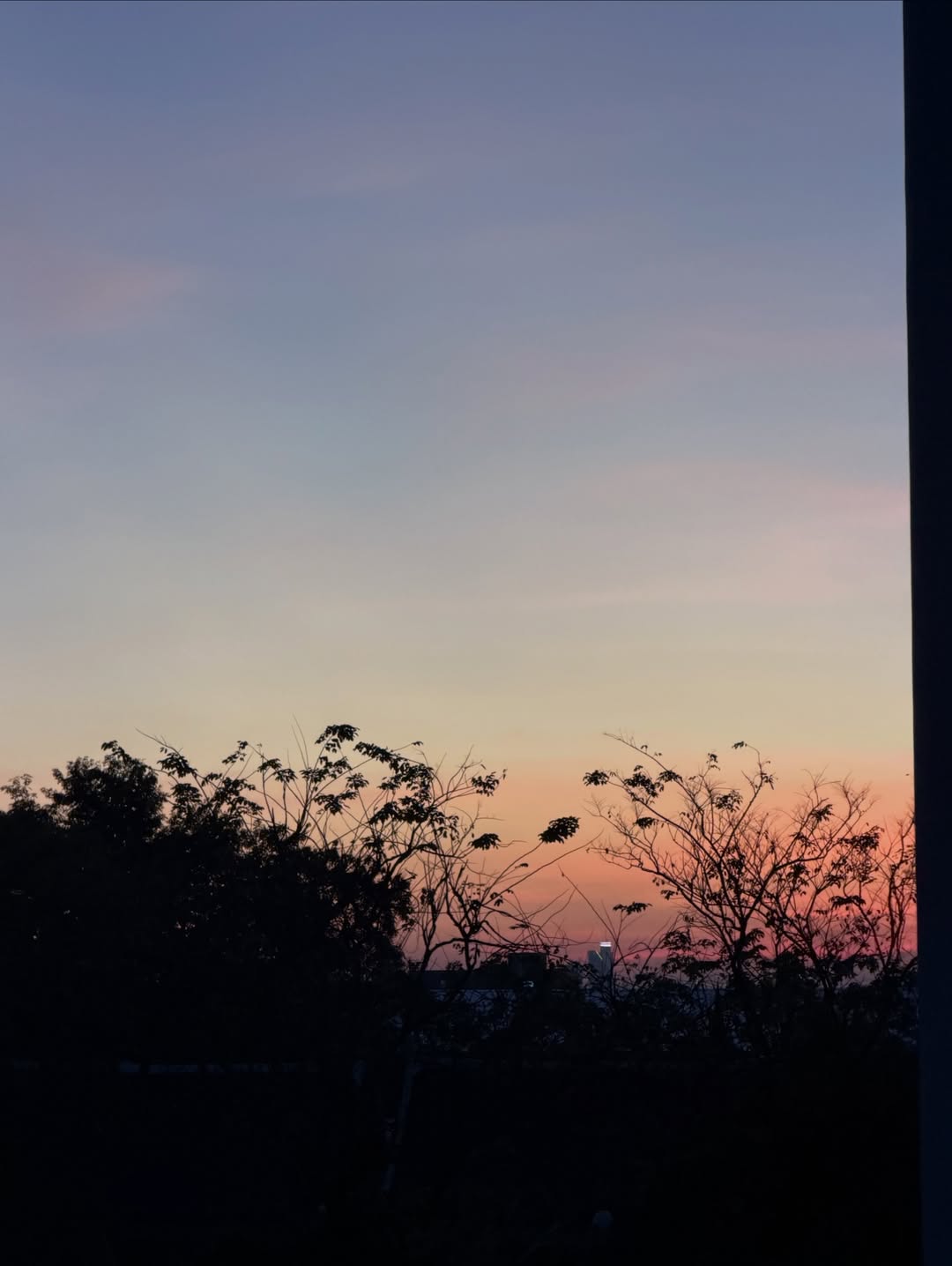 ชาล็อต ออสติน