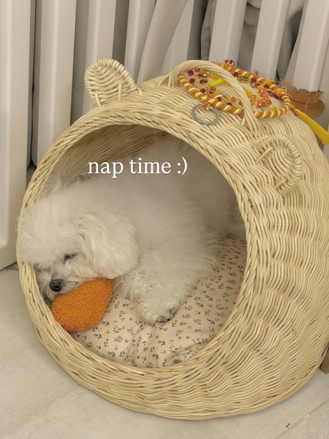 ชาล็อต ออสติน