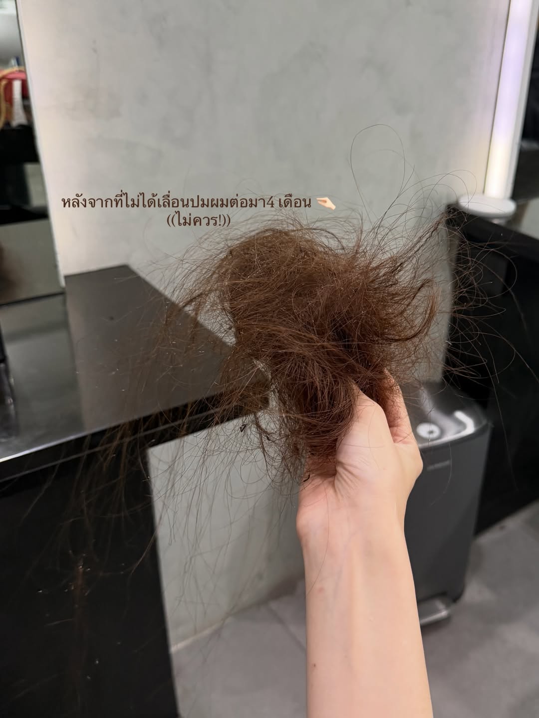 ชาล็อต ออสติน