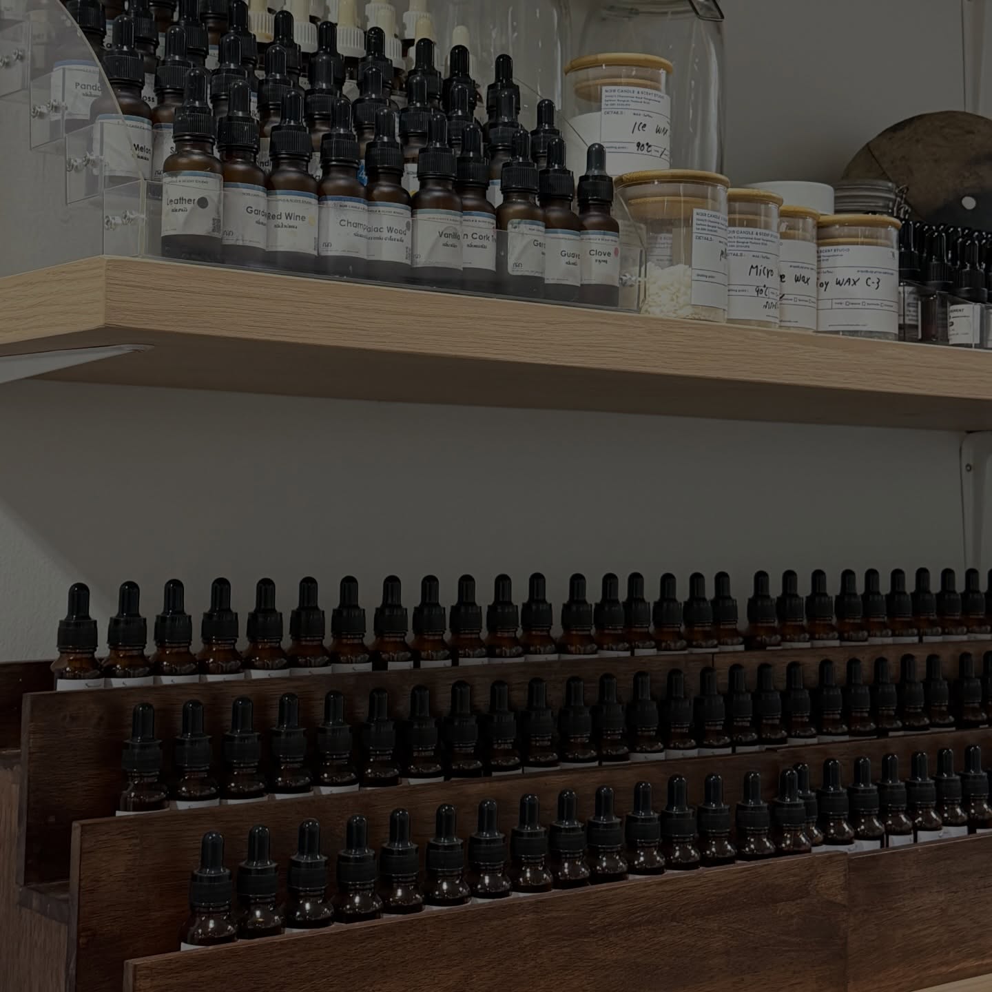 ชาล็อต ออสติน