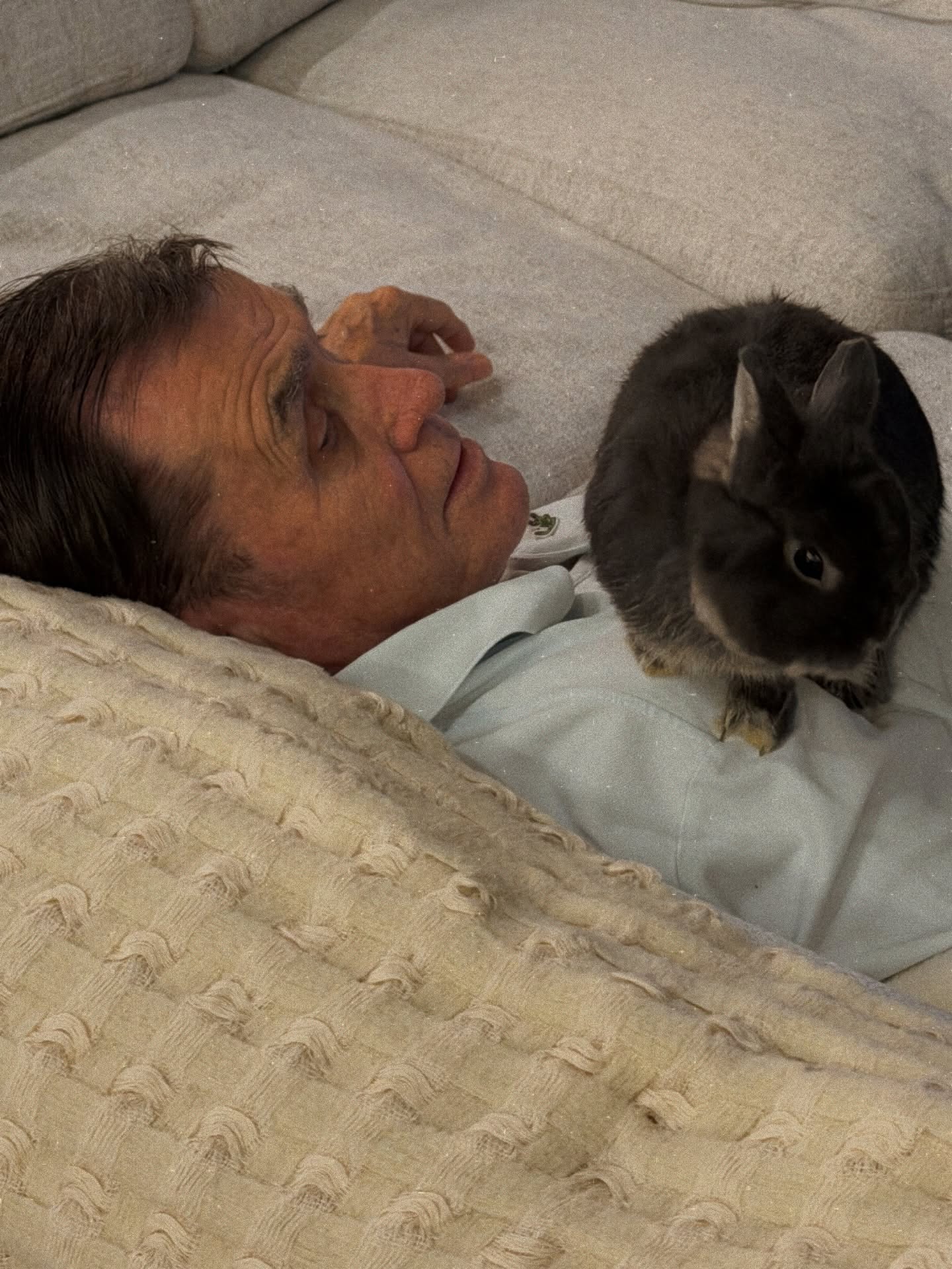 ชาล็อต ออสติน