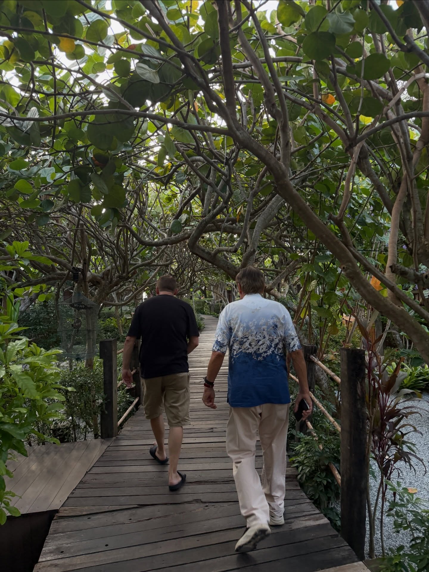 ชาล็อต ออสติน