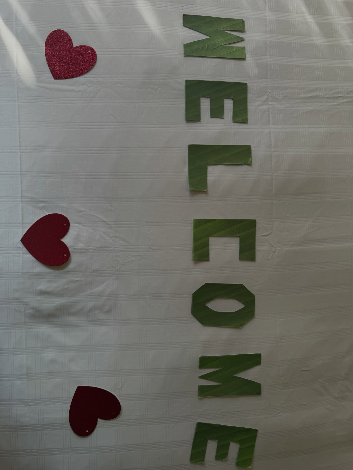 ชาล็อต ออสติน