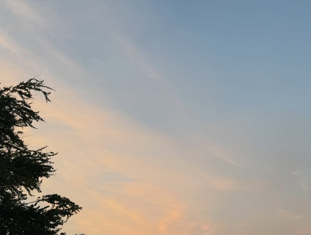 ชาล็อต ออสติน