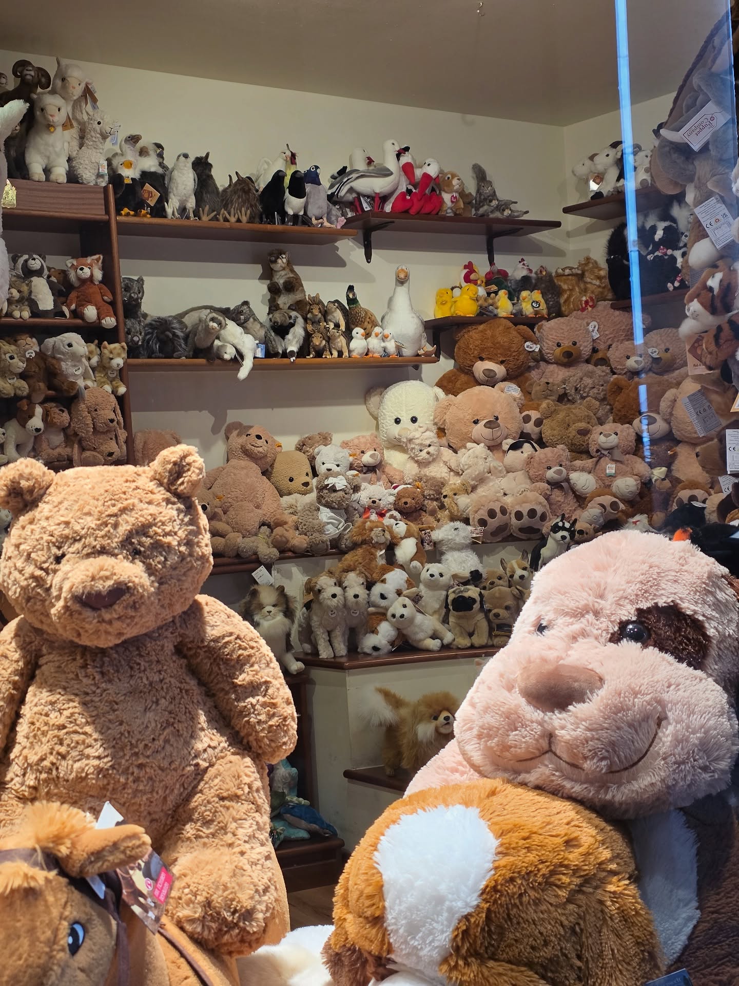 กัปตัน - ชลธร คงยิ่งยง