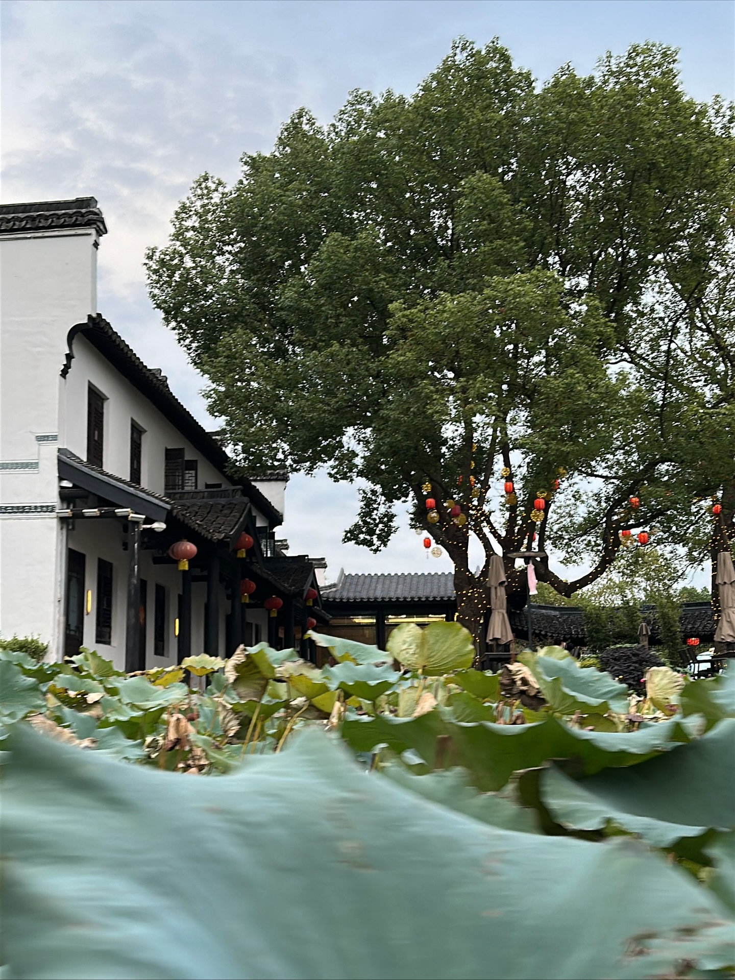 กัปตัน - ชลธร คงยิ่งยง