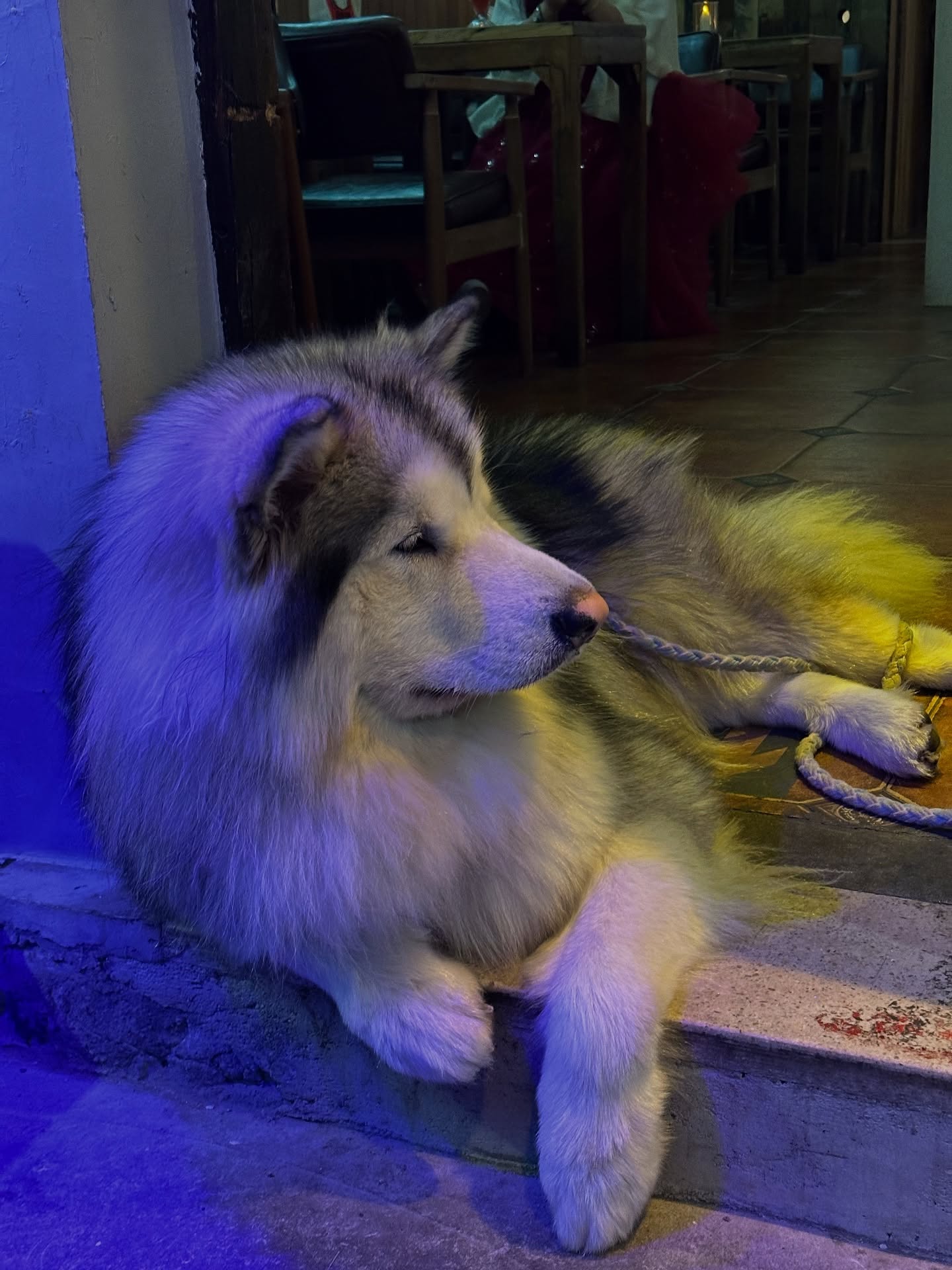 กัปตัน - ชลธร คงยิ่งยง