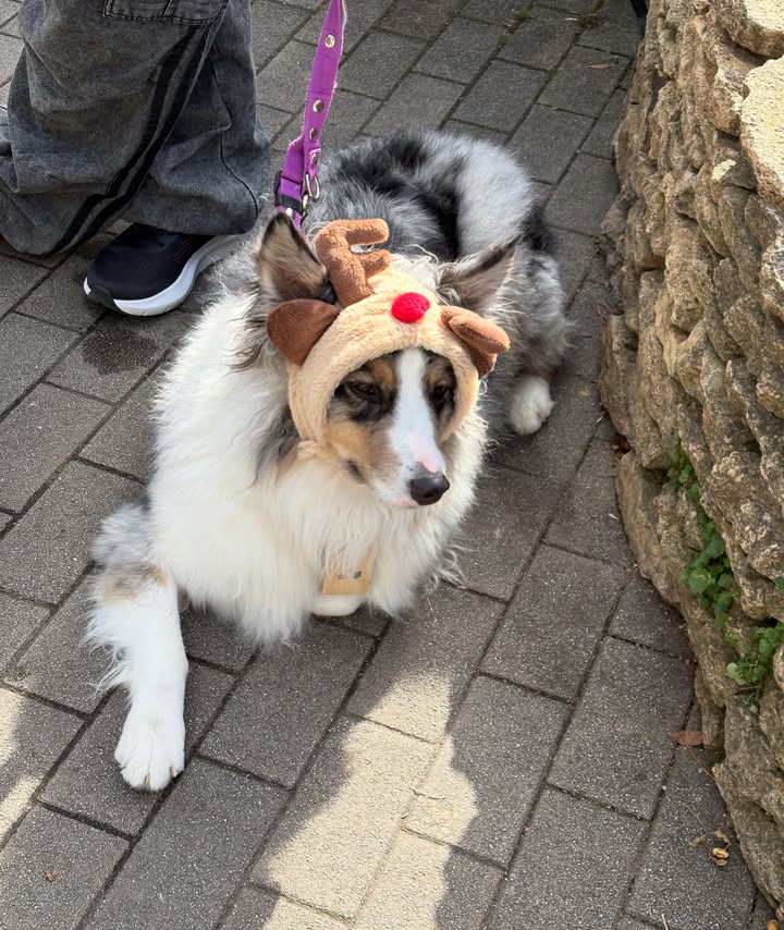 กัปตัน - ชลธร คงยิ่งยง