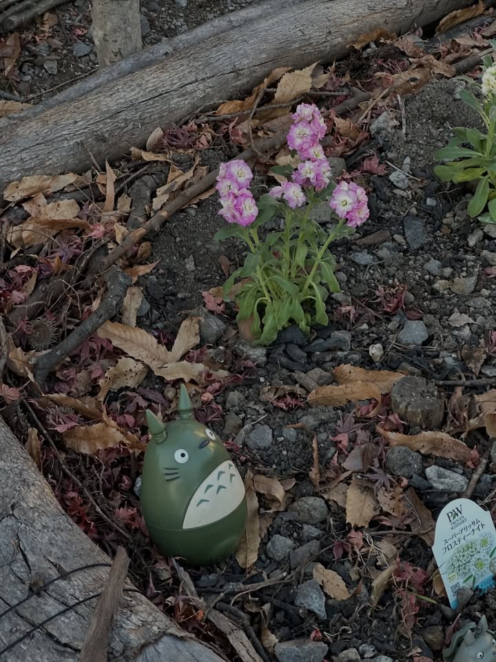 กัปตัน - ชลธร คงยิ่งยง