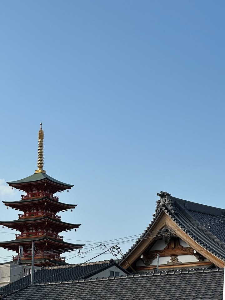 กัปตัน - ชลธร คงยิ่งยง