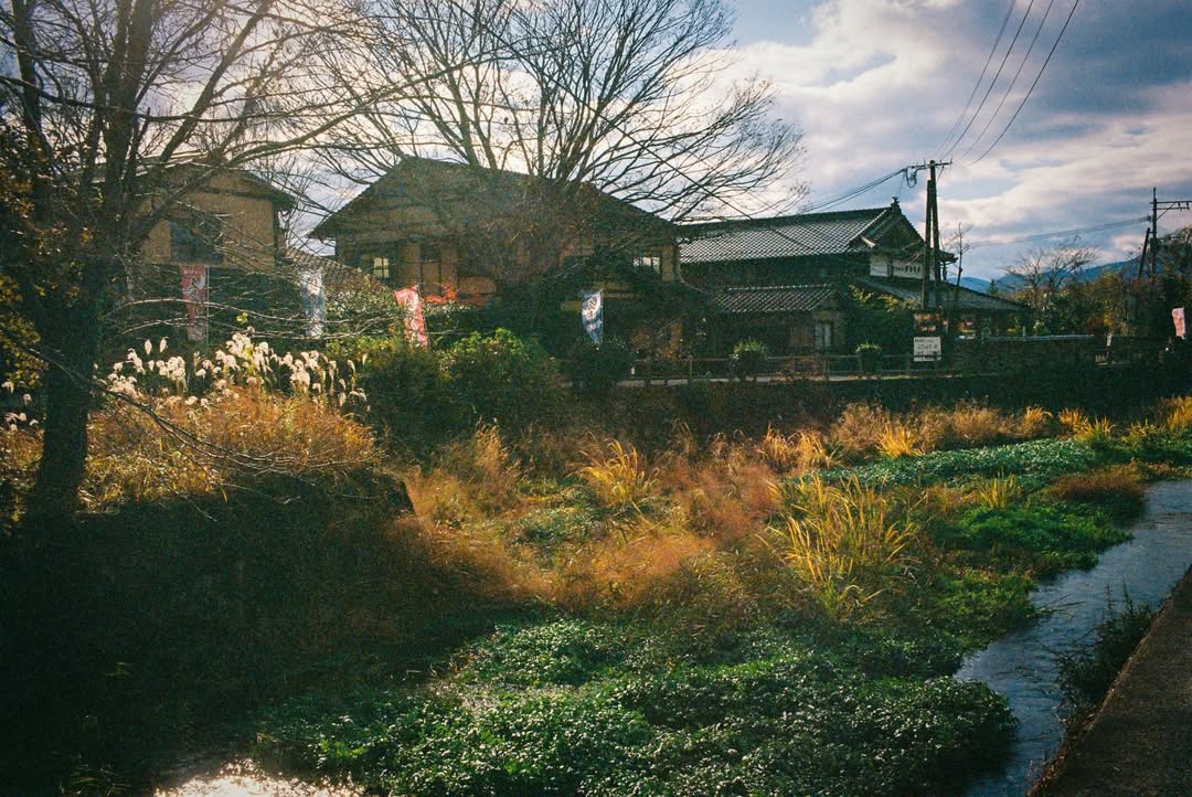 กัปตัน - ชลธร คงยิ่งยง