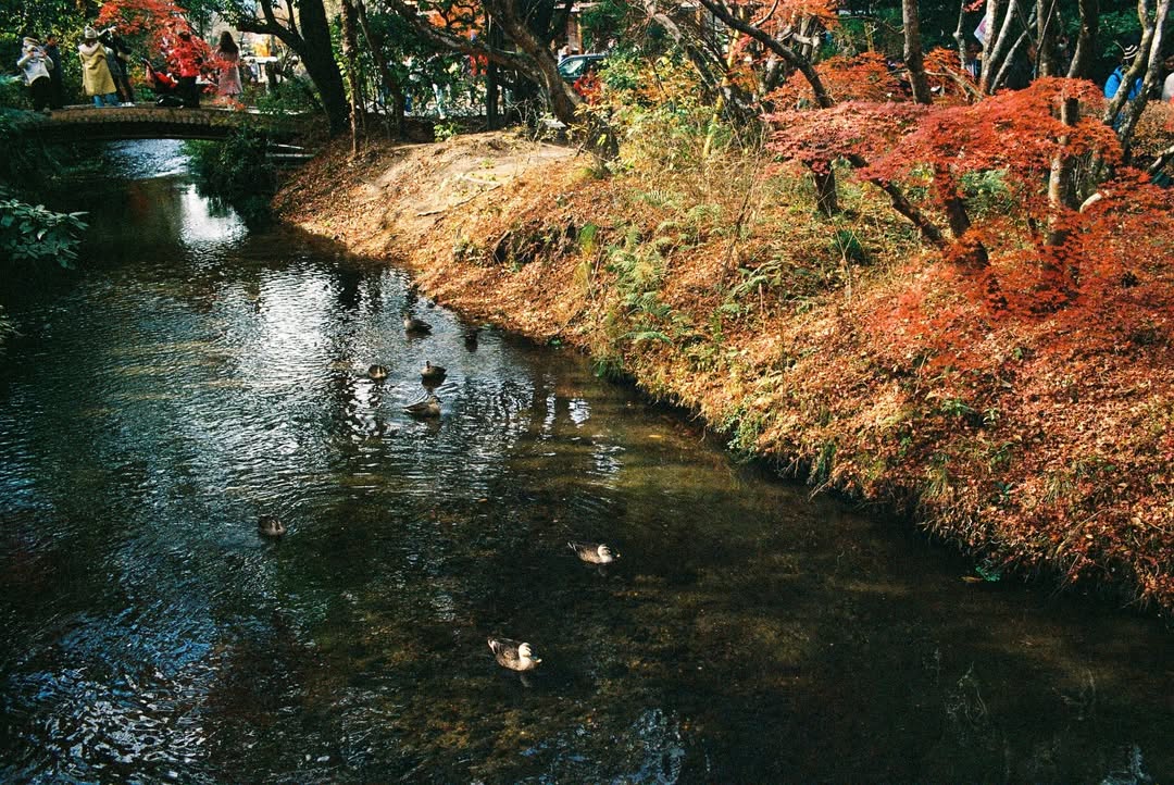 กัปตัน - ชลธร คงยิ่งยง