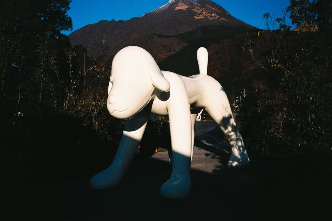 กัปตัน - ชลธร คงยิ่งยง