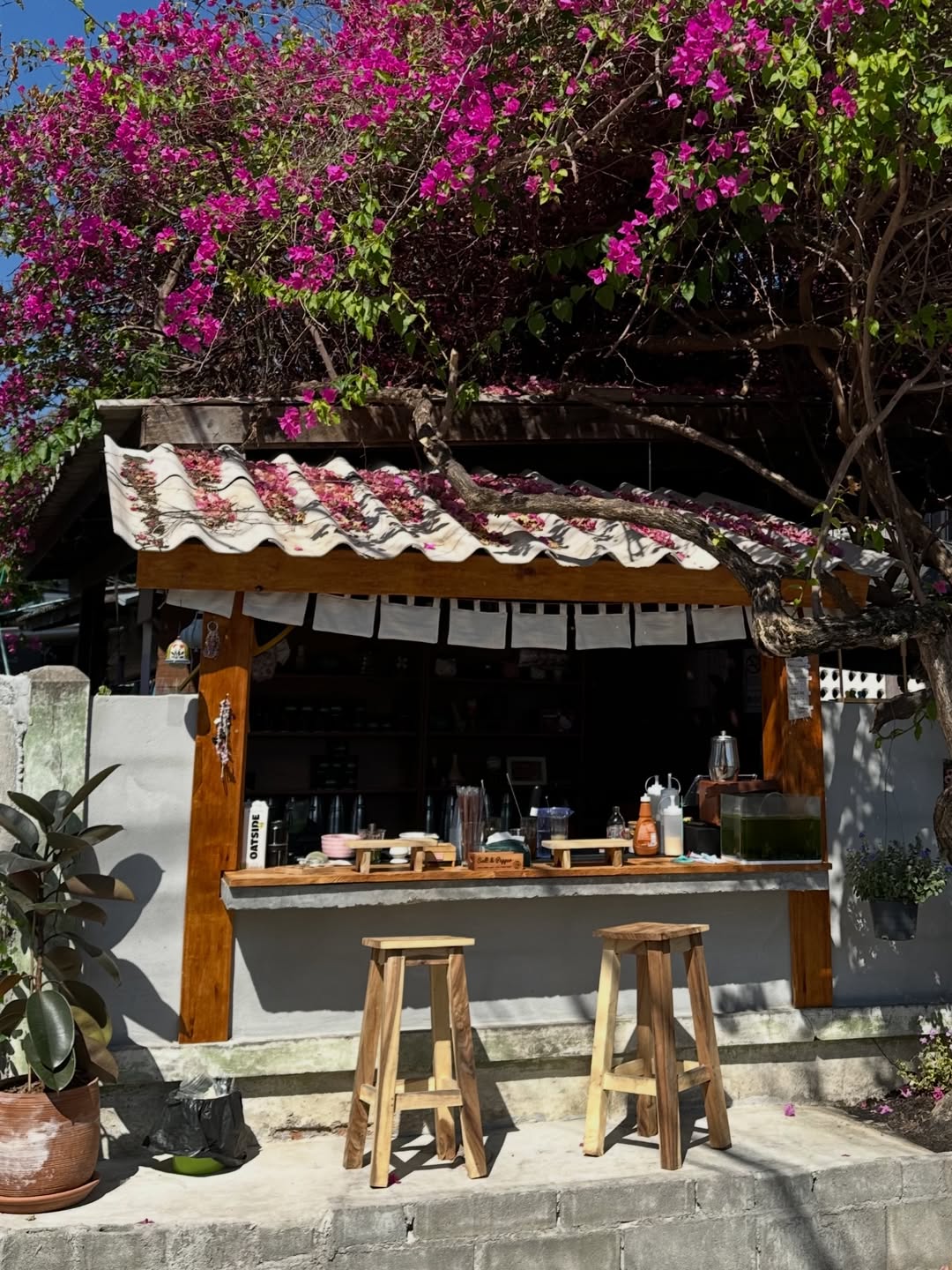 กัปตัน - ชลธร คงยิ่งยง