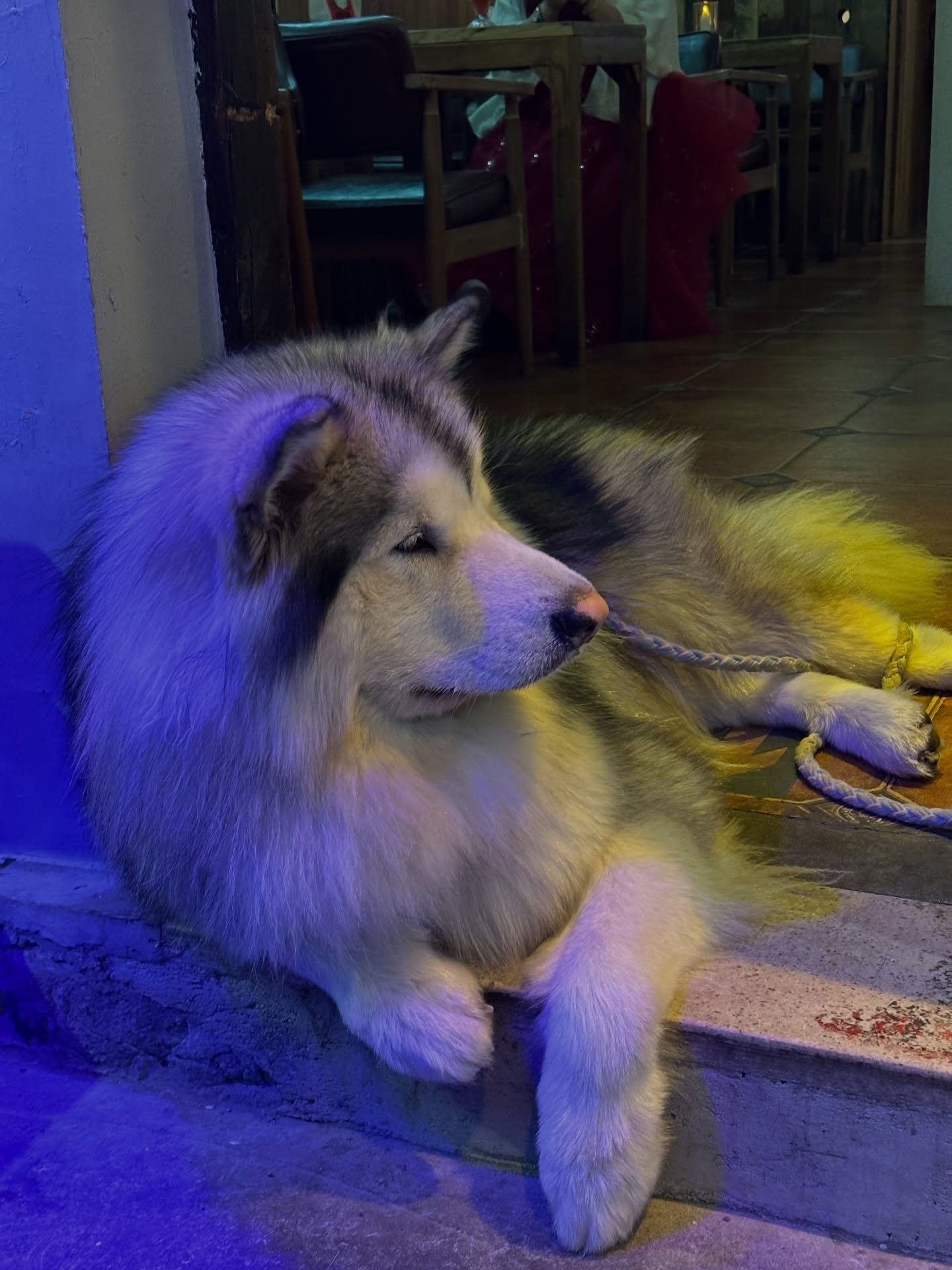 กัปตัน - ชลธร คงยิ่งยง