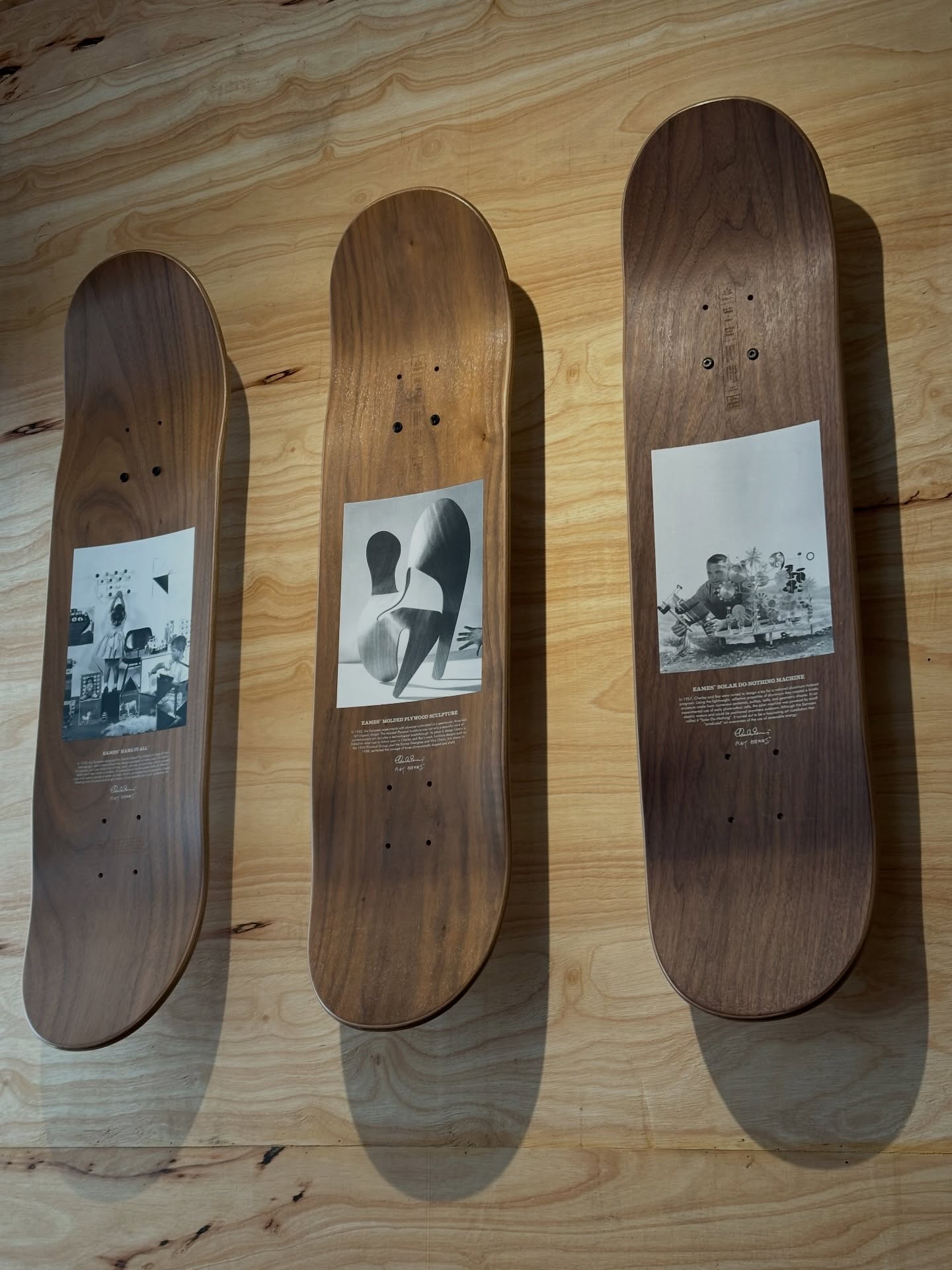 กัปตัน - ชลธร คงยิ่งยง